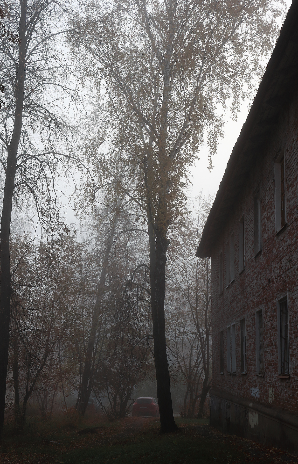 Random frame from a thriller - My, Autumn, The photo, Fog, Chthon