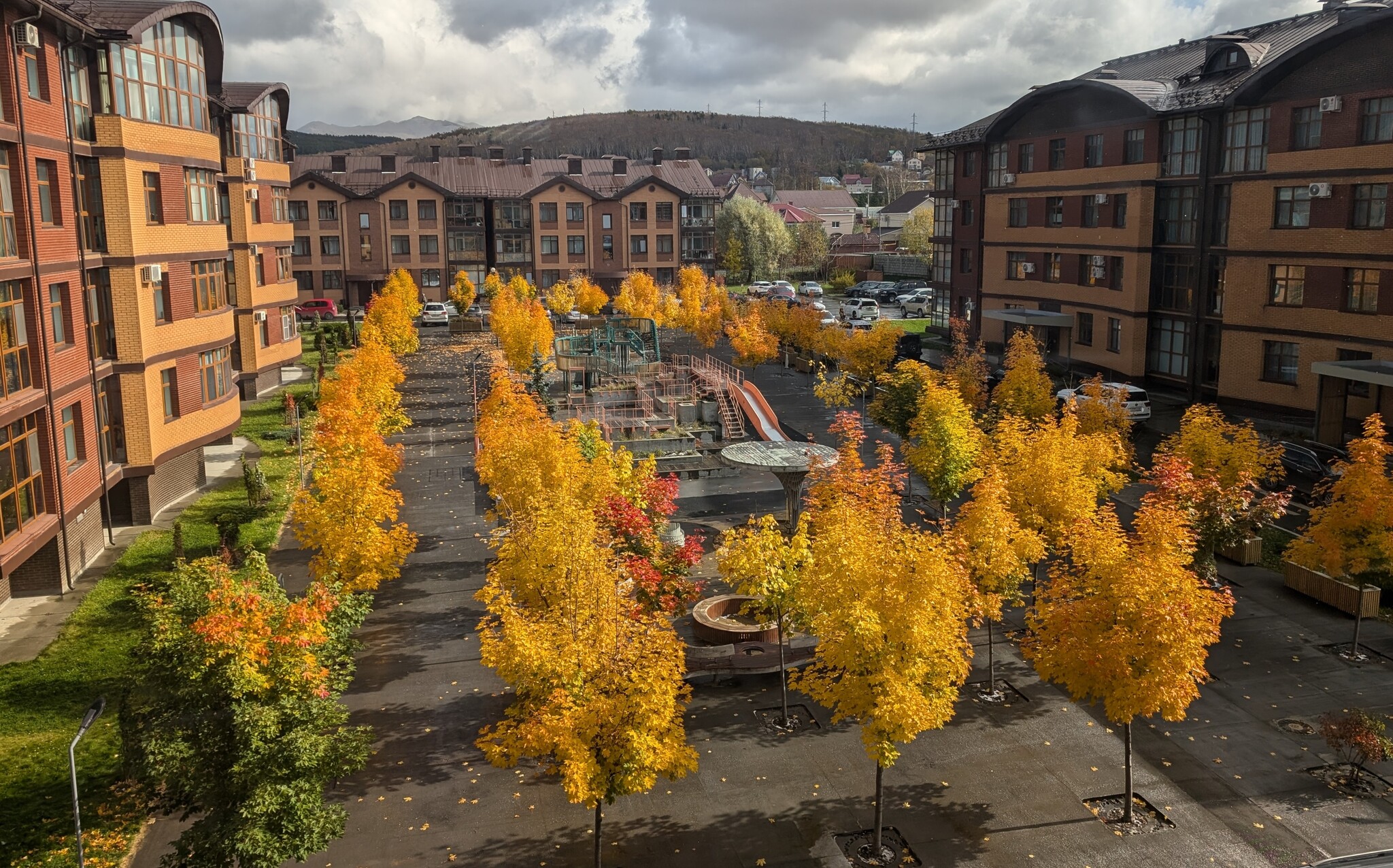 It's gotten cold, autumn has come - My, Autumn, The photo, Tree