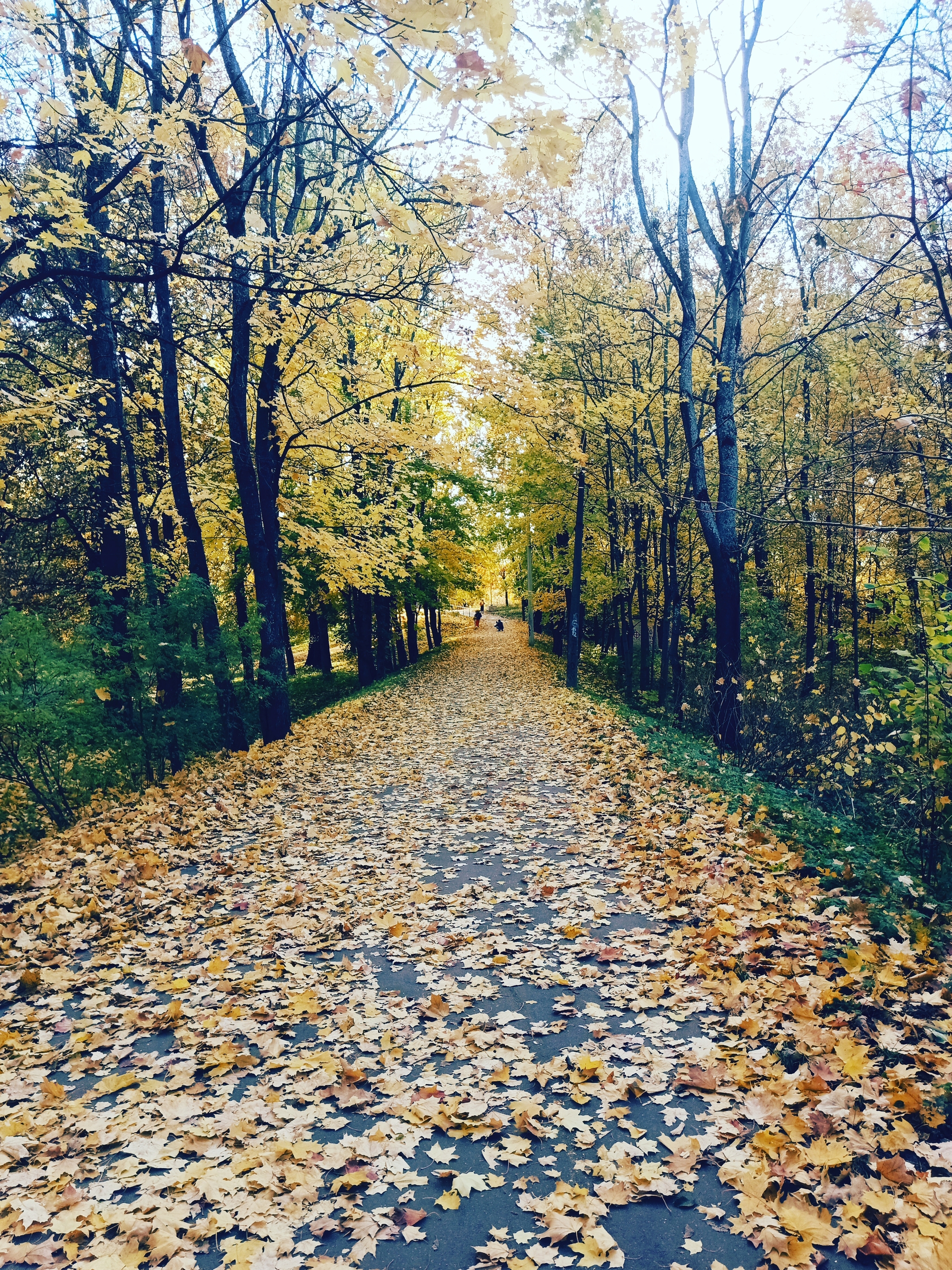 Actually, I was expecting snow, wind and rain. - My, Saint Petersburg, A bike, Autumn, The Gulf of Finland, Walk, Relaxation, Weekend, Longpost