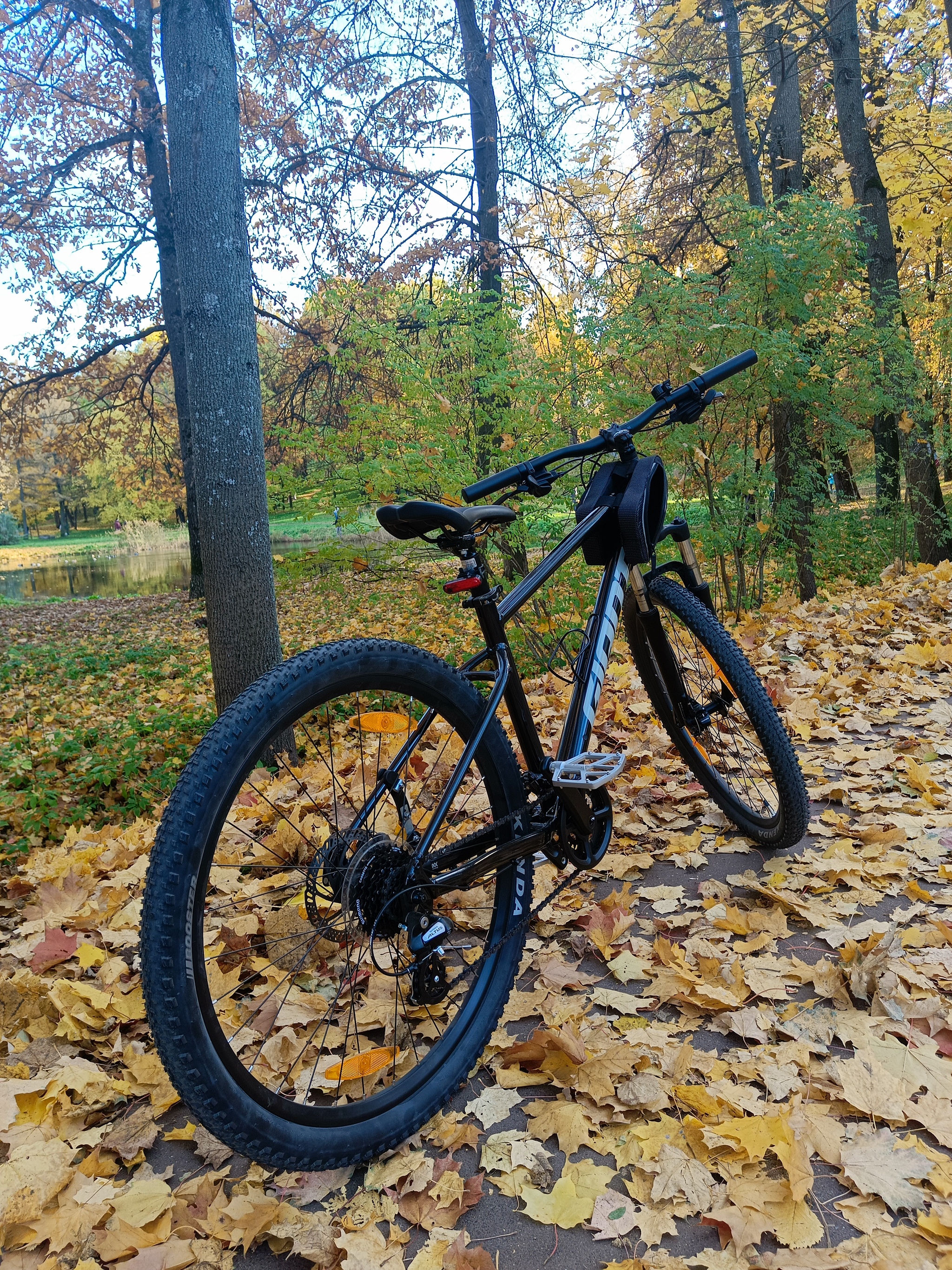 Actually, I was expecting snow, wind and rain. - My, Saint Petersburg, A bike, Autumn, The Gulf of Finland, Walk, Relaxation, Weekend, Longpost