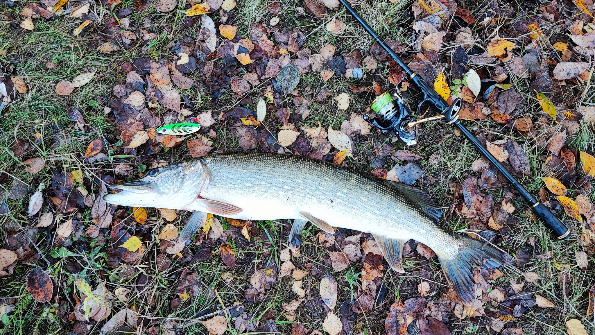 R. Kolokolenka - My, Spinning, Fishing