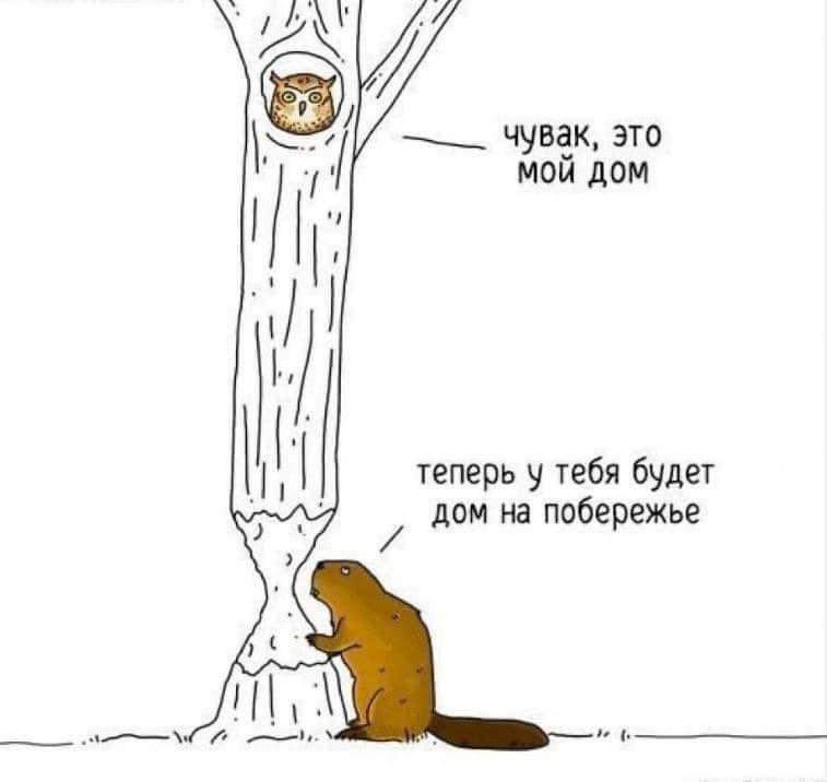 Beaver bitch perdole... - Picture with text, Images, beaver whore, Beavers, Comics, Theycantalk