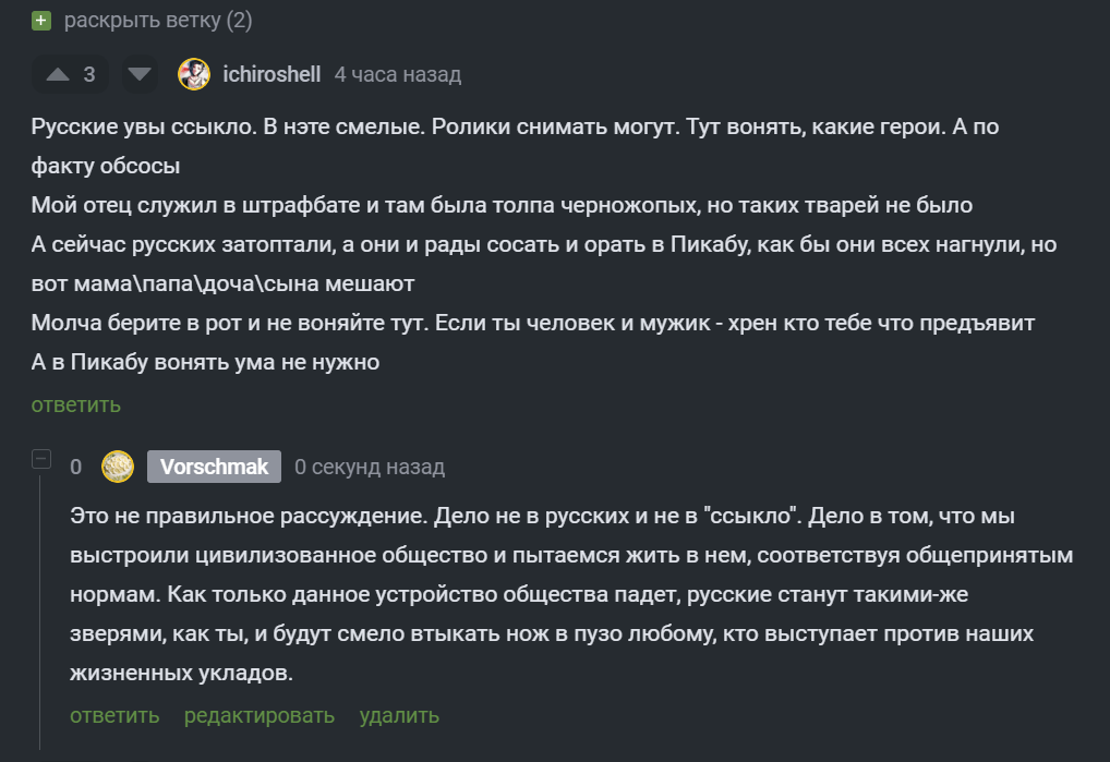 Прошу поддержать, или опровергнуть - Моё, Русские, Трус, Ненависть, Скриншот, Комментарии на Пикабу, Мигранты, Национальность, Негатив