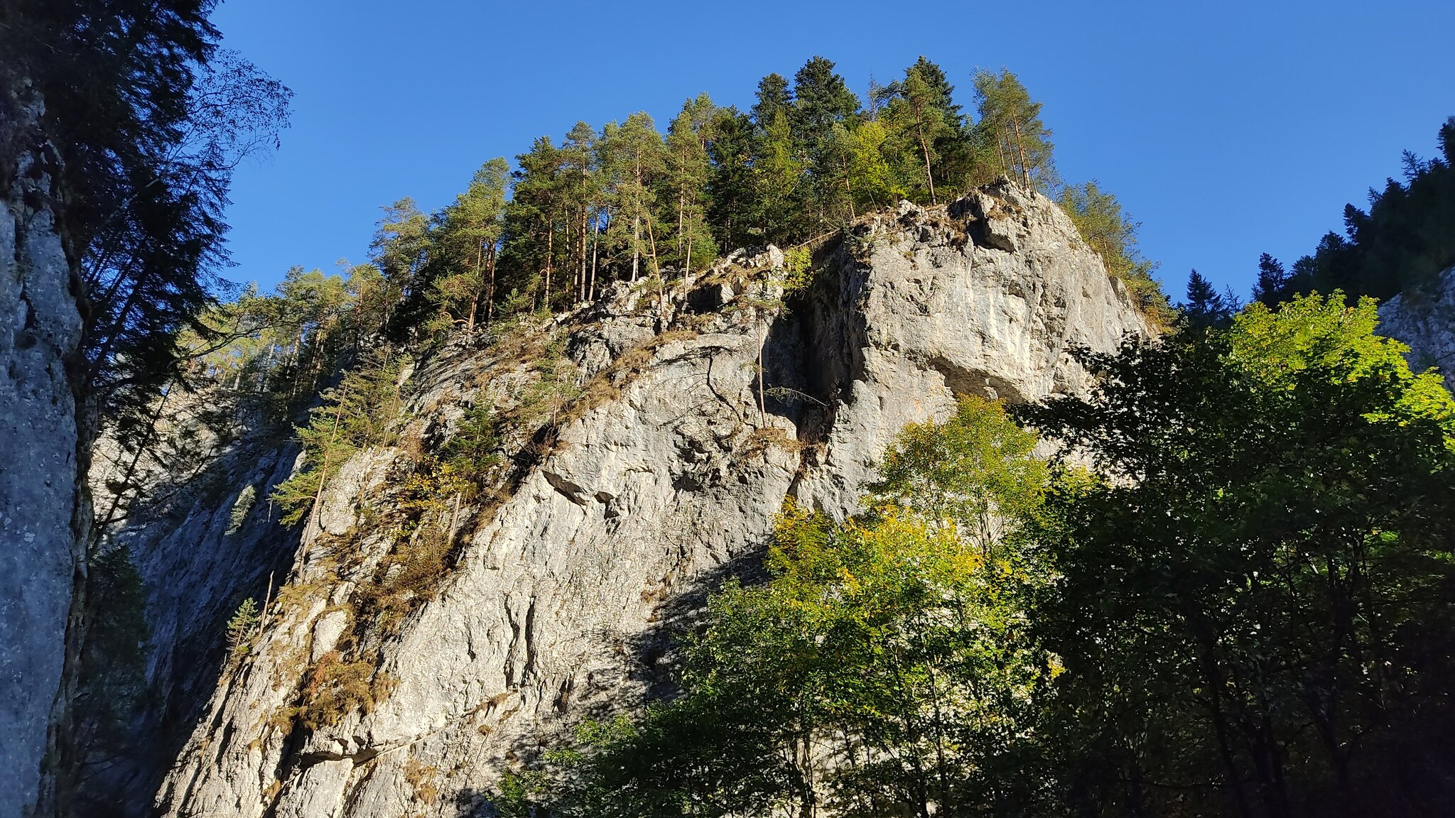 Keys to the Jurassic Period - My, The mountains, The rocks, Gorge, Romania, Tourism, Travels, beauty, Beautiful view, Carpathians, Longpost