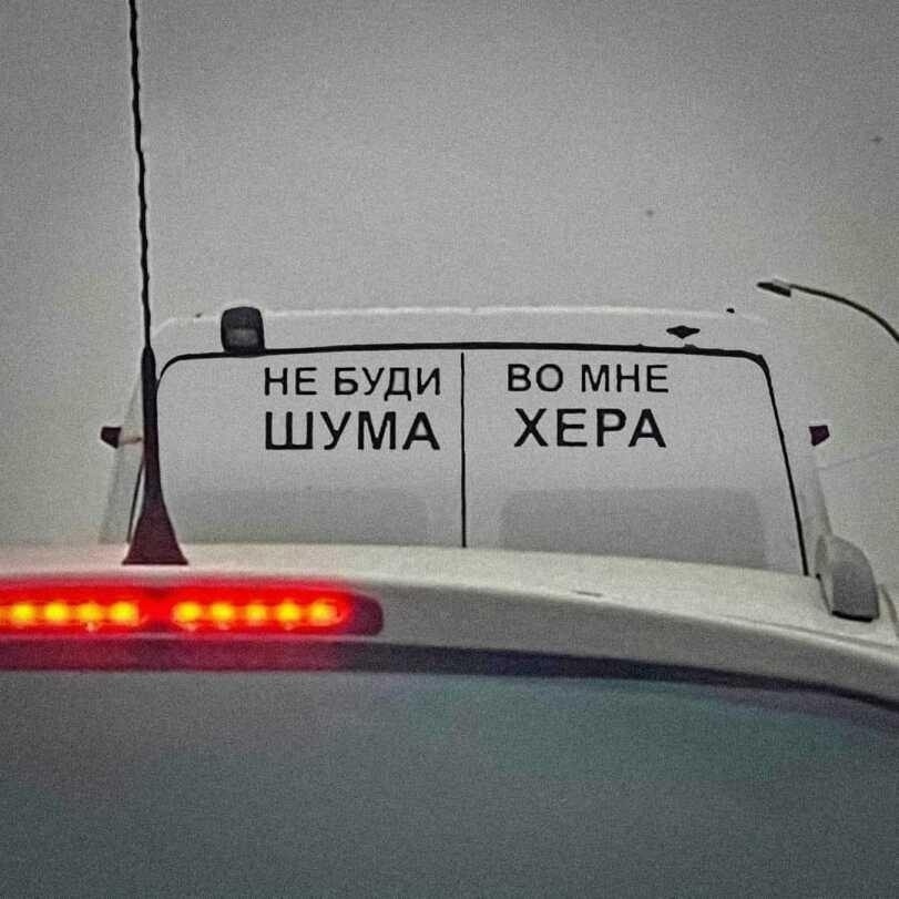 Тут даже кот в непонятках - Авто, Юмор, Рокк ебол