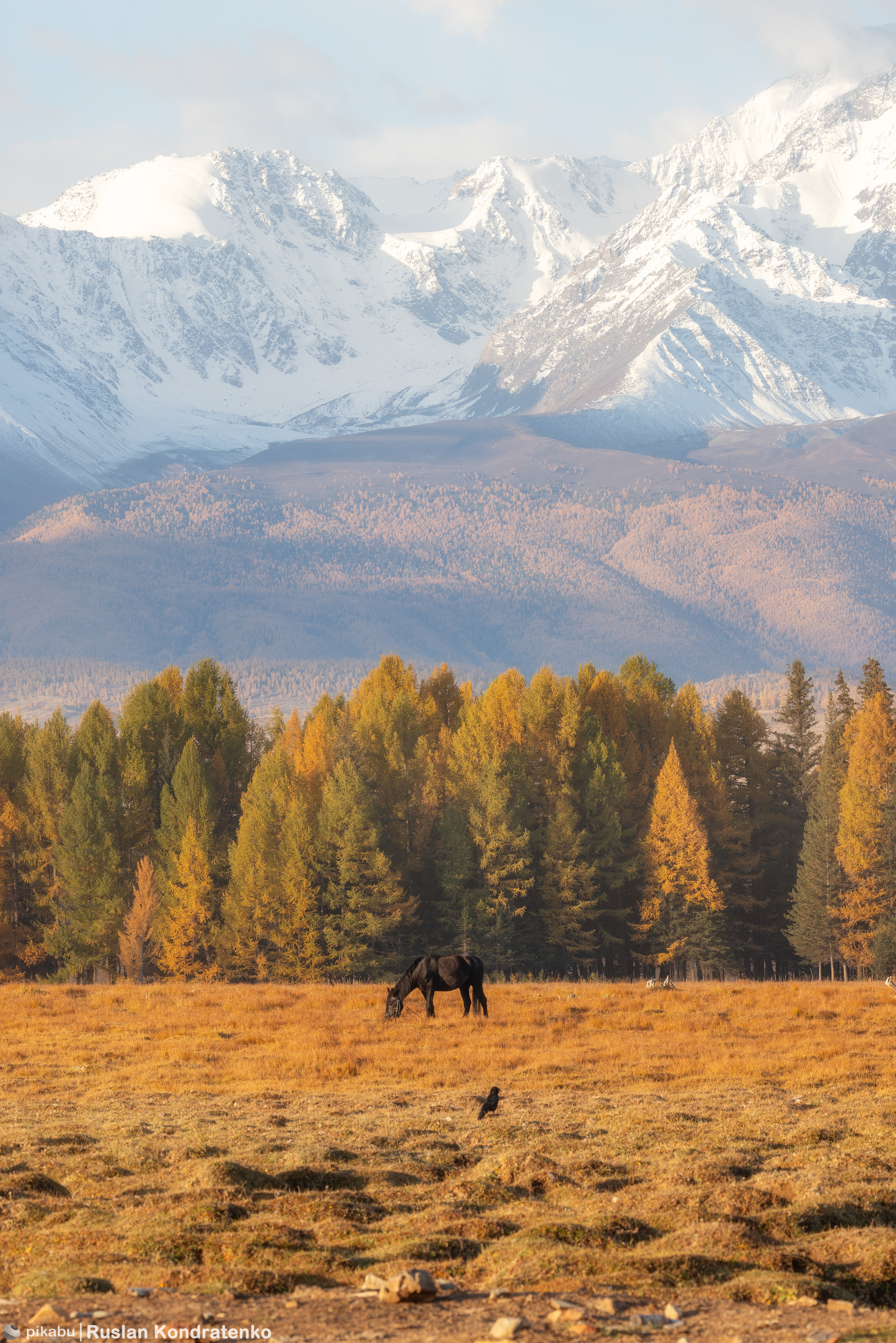 Mountain Altai - My, The photo, Canon, Altai Republic, Autumn, Video, Video VK, Longpost