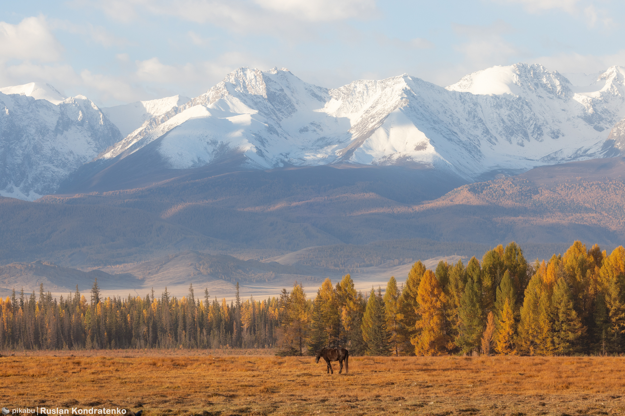 Mountain Altai - My, The photo, Canon, Altai Republic, Autumn, Video, Video VK, Longpost