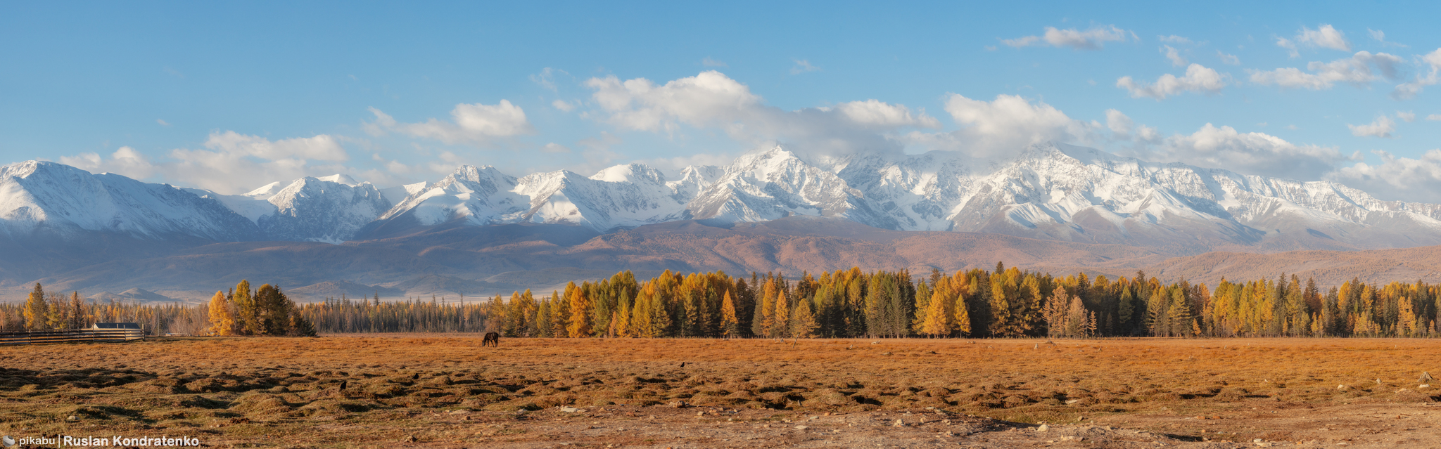 Mountain Altai - My, The photo, Canon, Altai Republic, Autumn, Video, Video VK, Longpost