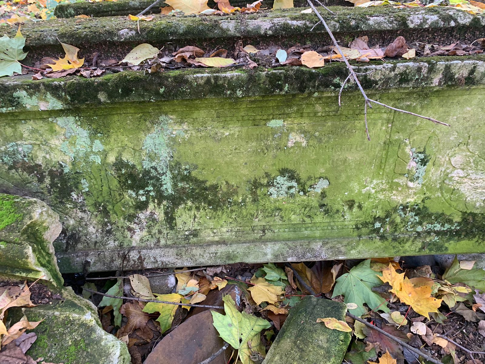 Mysterious Ancient Cemetery Slabs: Uncovering the Secrets of History - My, Cemetery, Plate, Limestone, Coffin, Burial, date, Traditions, Grave, Rus, Baptism, Century, Age, Scull, Death, Patterns, Text, Inexplicable, Mystery, Longpost