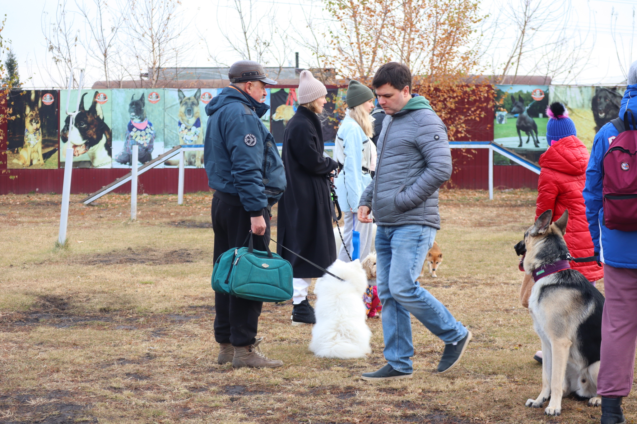 Дрессировка собак в Омске - ОЦССС 19 - 10 - 2024 - Собака, Собачники, Щенки, Омск, Дрессировка, Оцссс, Друг, Забота, Длиннопост