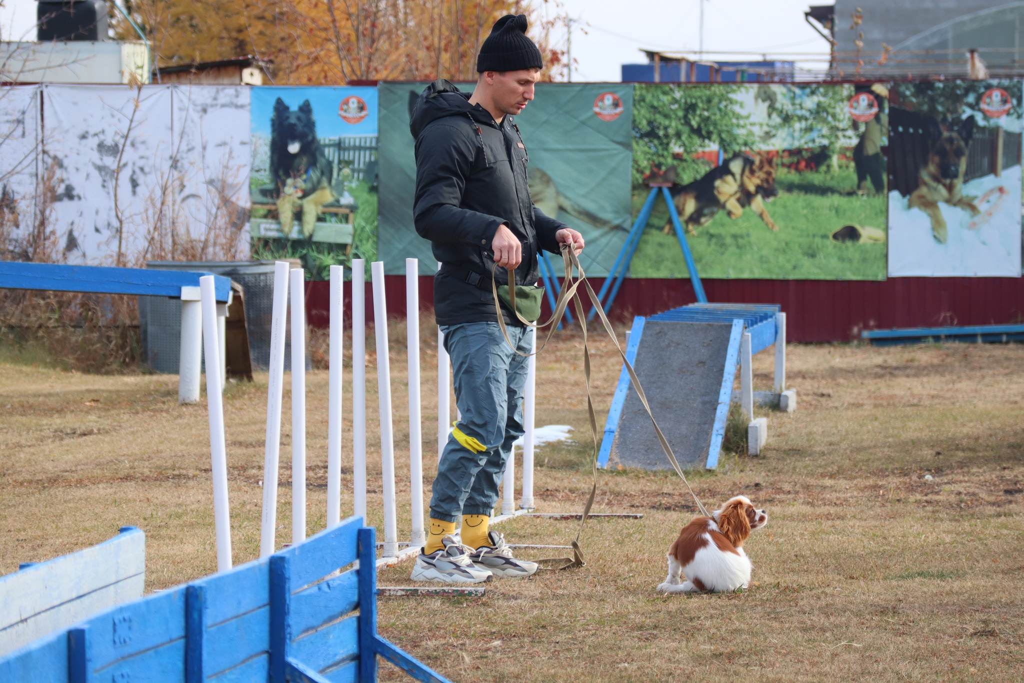 Дрессировка собак в Омске - ОЦССС 19 - 10 - 2024 - Собака, Собачники, Щенки, Омск, Дрессировка, Оцссс, Друг, Забота, Длиннопост