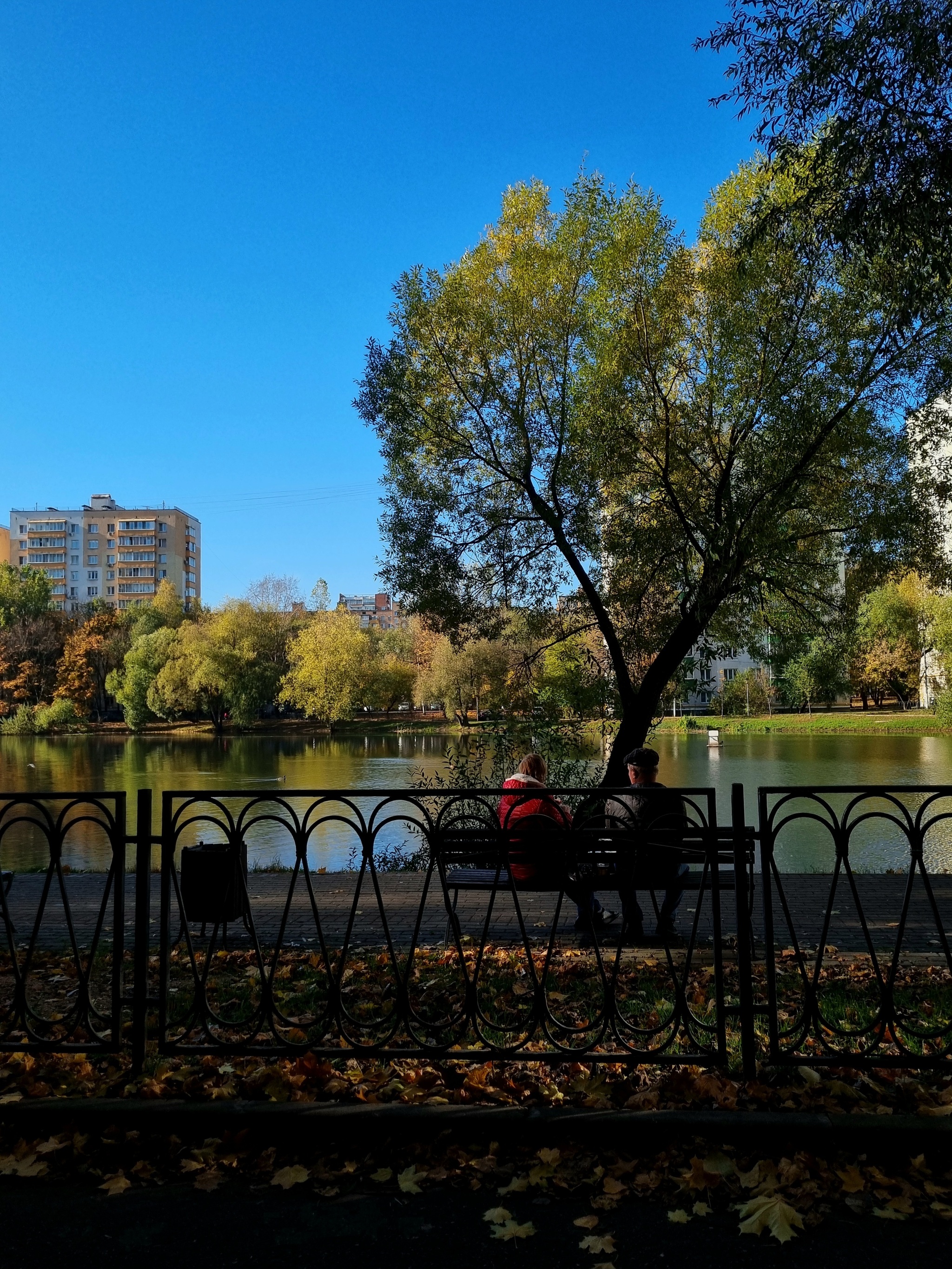 Рабочий поселок/Кунцевская - Моё, Мобильная фотография, Осень, Москва, Прогулка, Любительская съемка, Длиннопост