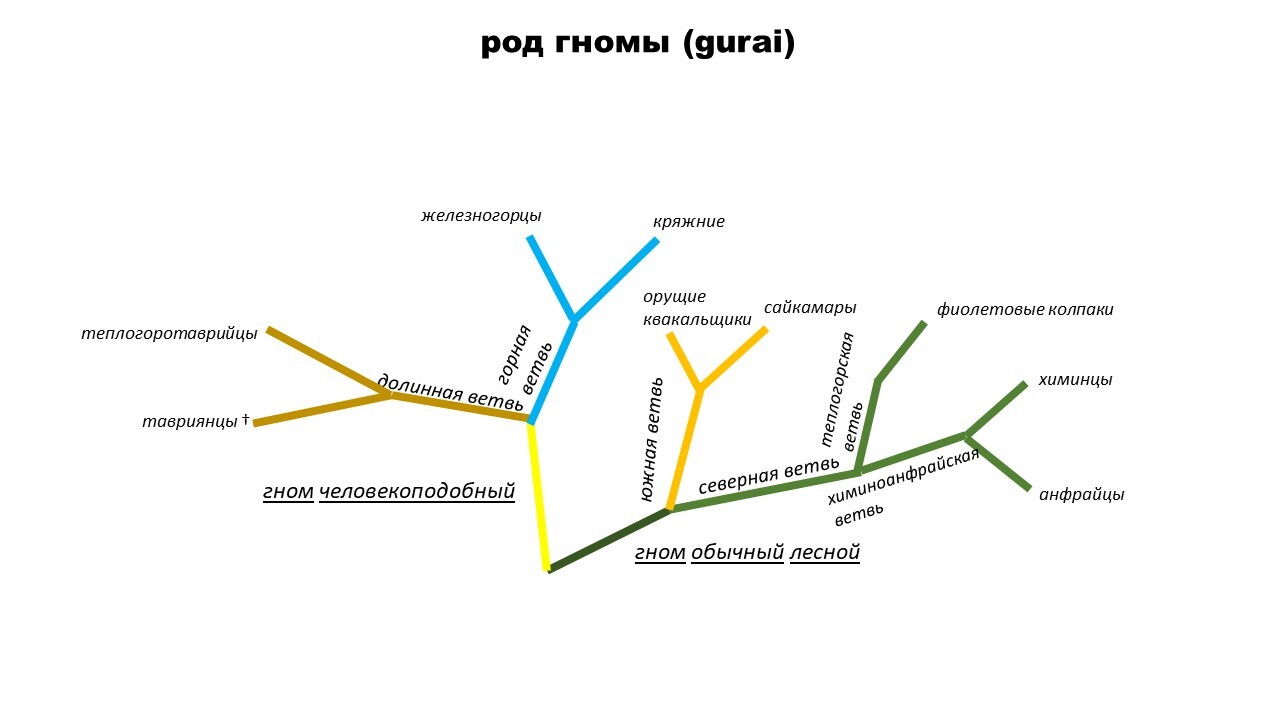 Каких видов бывают гномы - Моё, Гномы, Редкий вид