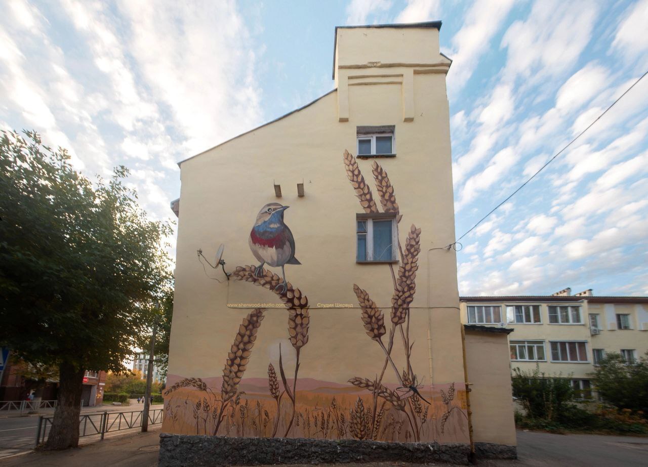 About the work of a street artist - My, Ryazan, Mural, Art, Longpost