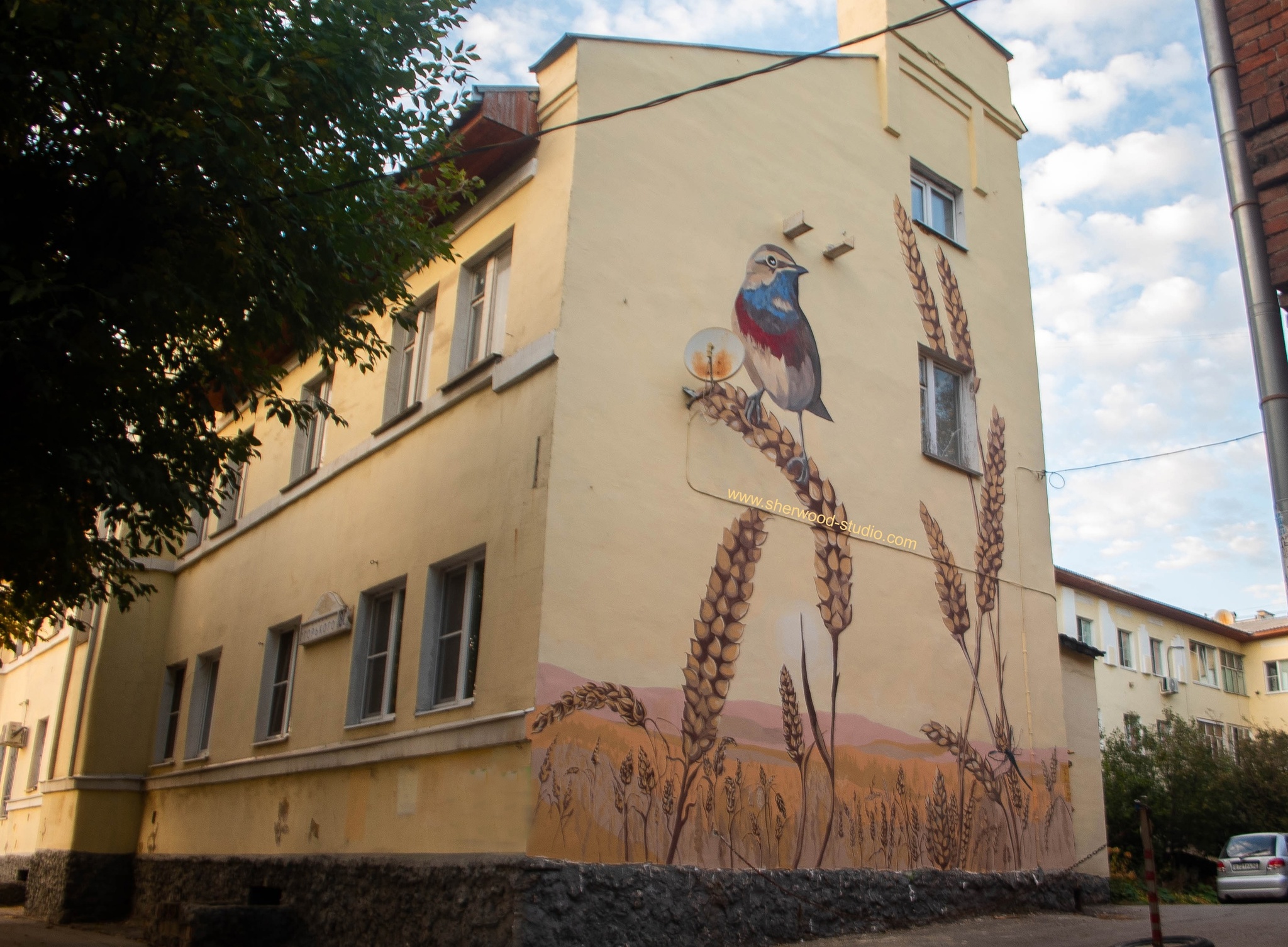 About the work of a street artist - My, Ryazan, Mural, Art, Longpost