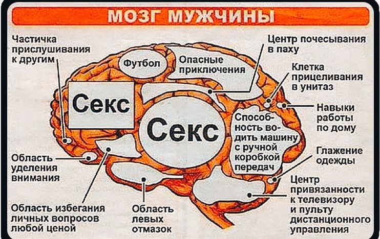 Мужская забывчивость - Моё, Психология, Психолог, Личность, Отношения, Мужчины и женщины, Конфликт, Сложности понимания, Психологическая помощь