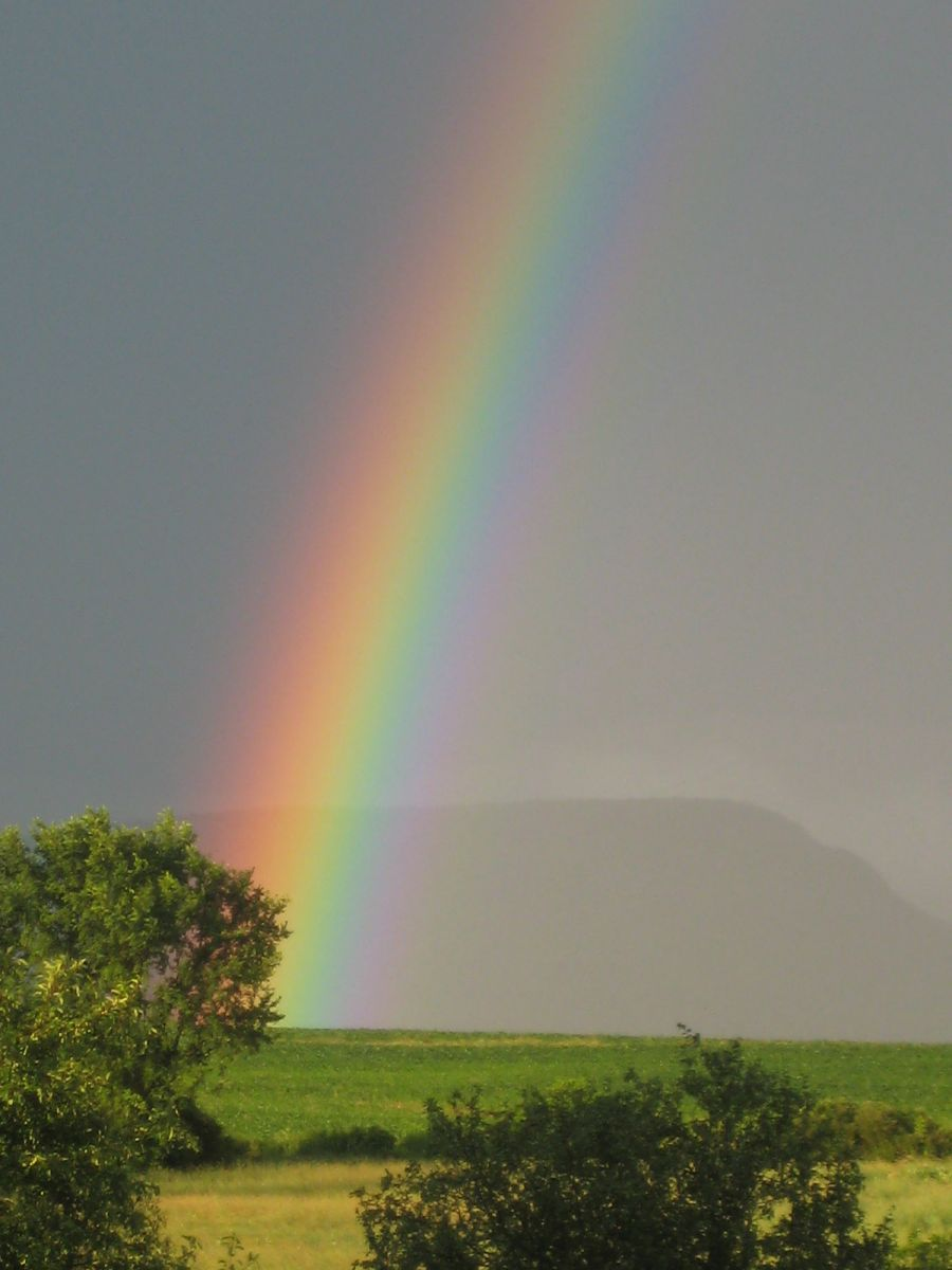 Rainbow - Радуга, Фотография