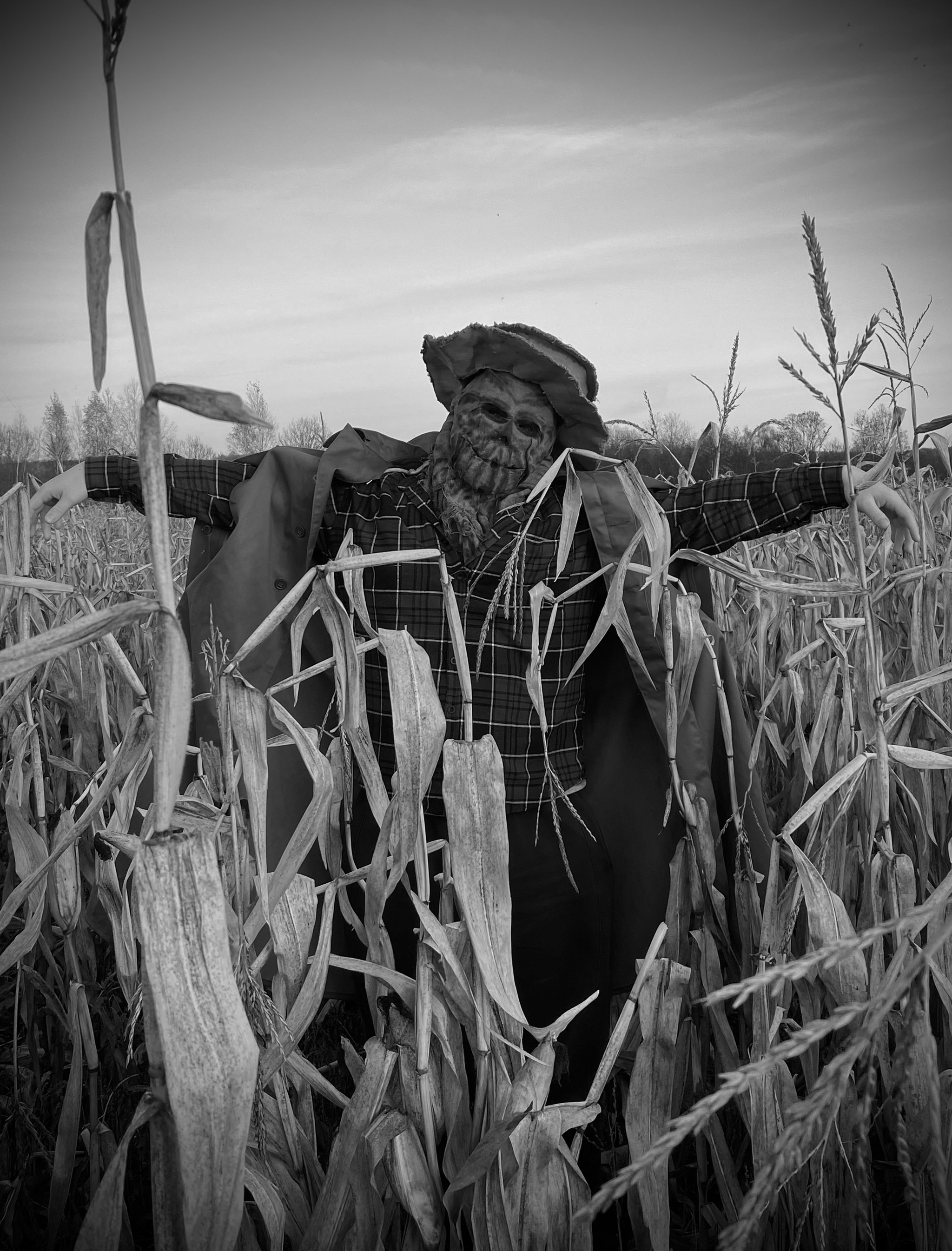 Continuation of the post Collecting a look for Halloween - My, Needlework, Papier mache, Halloween, Mask, Longpost, Scarecrow, Corn, Video, Vertical video, Reply to post