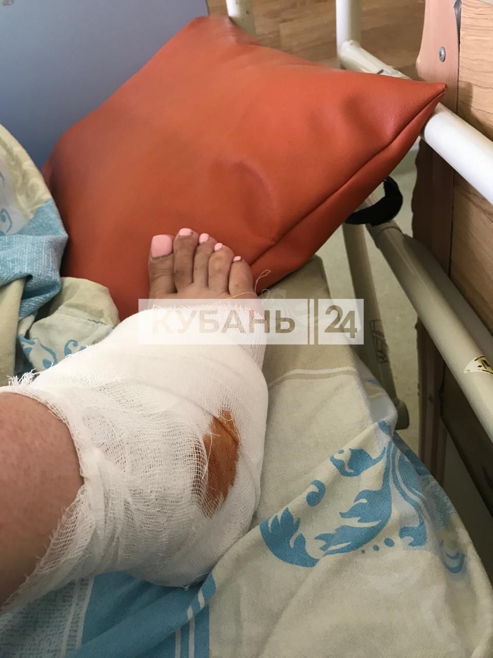 Continuation of the post In Sochi, stray dogs attacked a woman: - Radical animal protection, Dog attack, Stray dogs, Osvv, Vertical video, Telegram (link), Negative, Video, Longpost