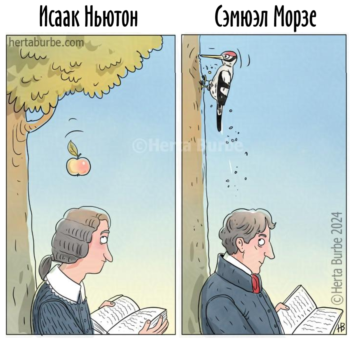 Source of inspiration - Comics, Herta Burbe, Humor, Isaac Newton, Apples, Morse, Woodpeckers, Translated by myself