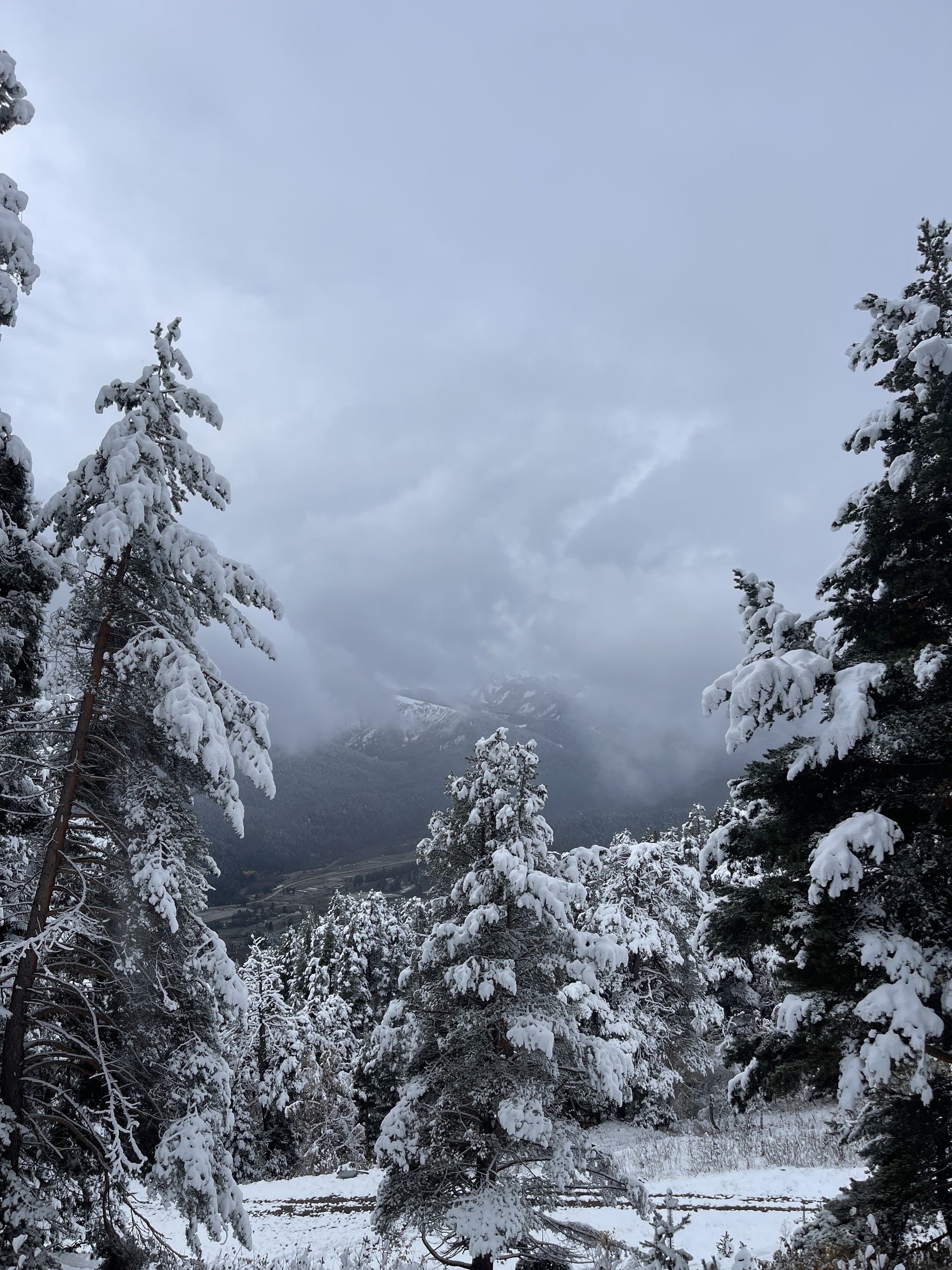 We came to Arkhyz for autumn to see - My, Arkhyz, Autumn, 2024, Snow, Weather, Nature, The photo, Longpost