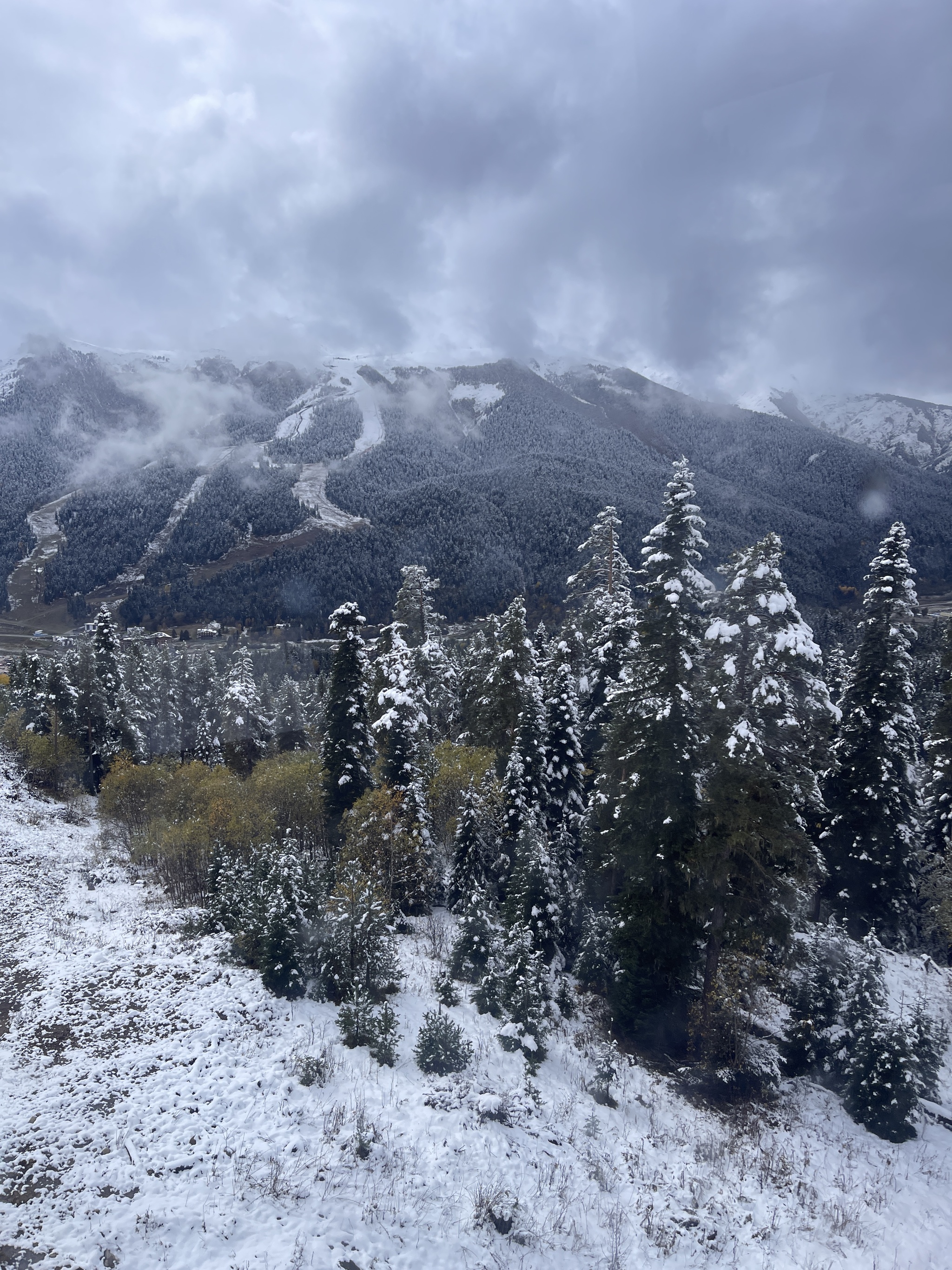 We came to Arkhyz for autumn to see - My, Arkhyz, Autumn, 2024, Snow, Weather, Nature, The photo, Longpost