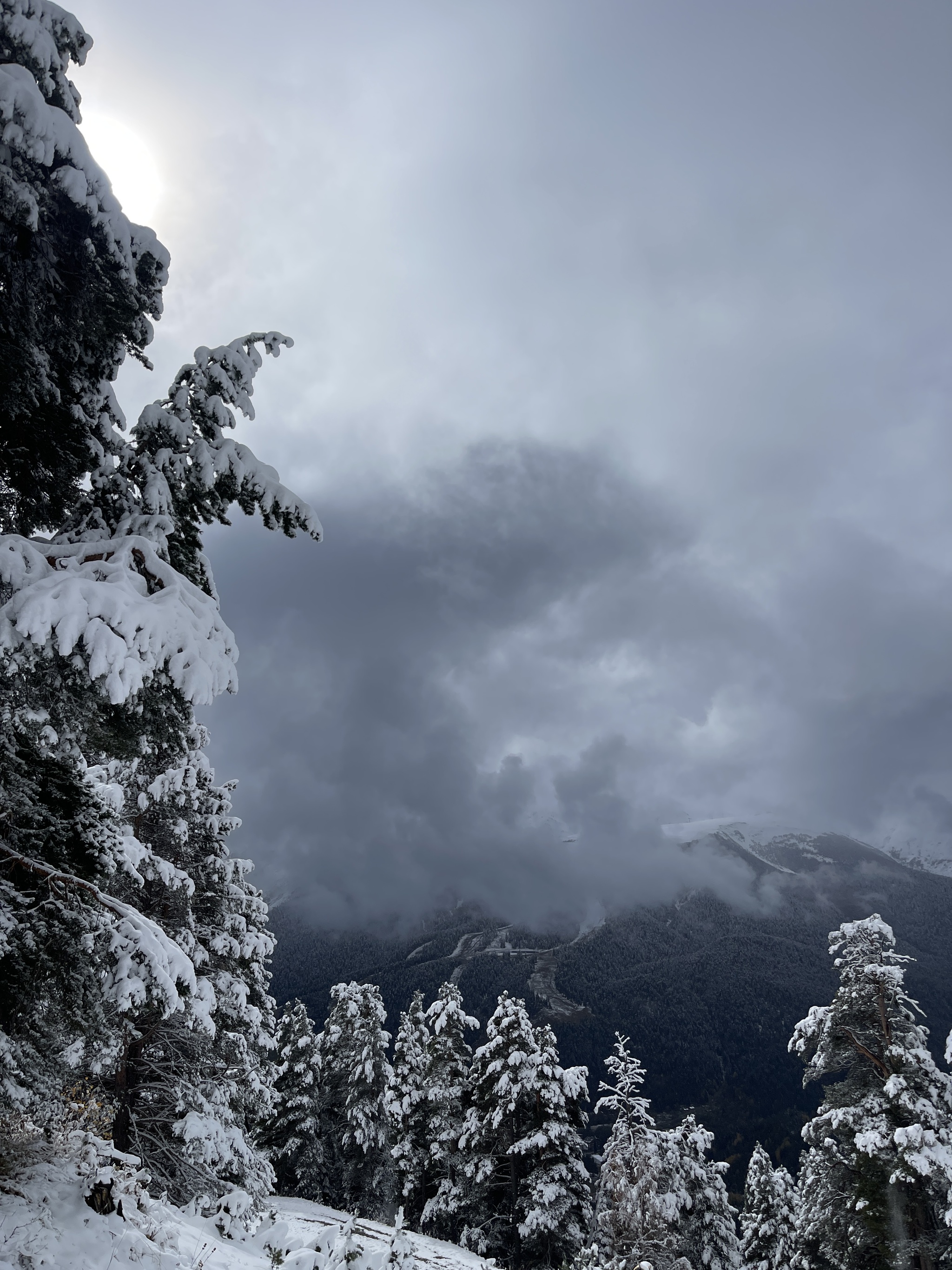 We came to Arkhyz for autumn to see - My, Arkhyz, Autumn, 2024, Snow, Weather, Nature, The photo, Longpost