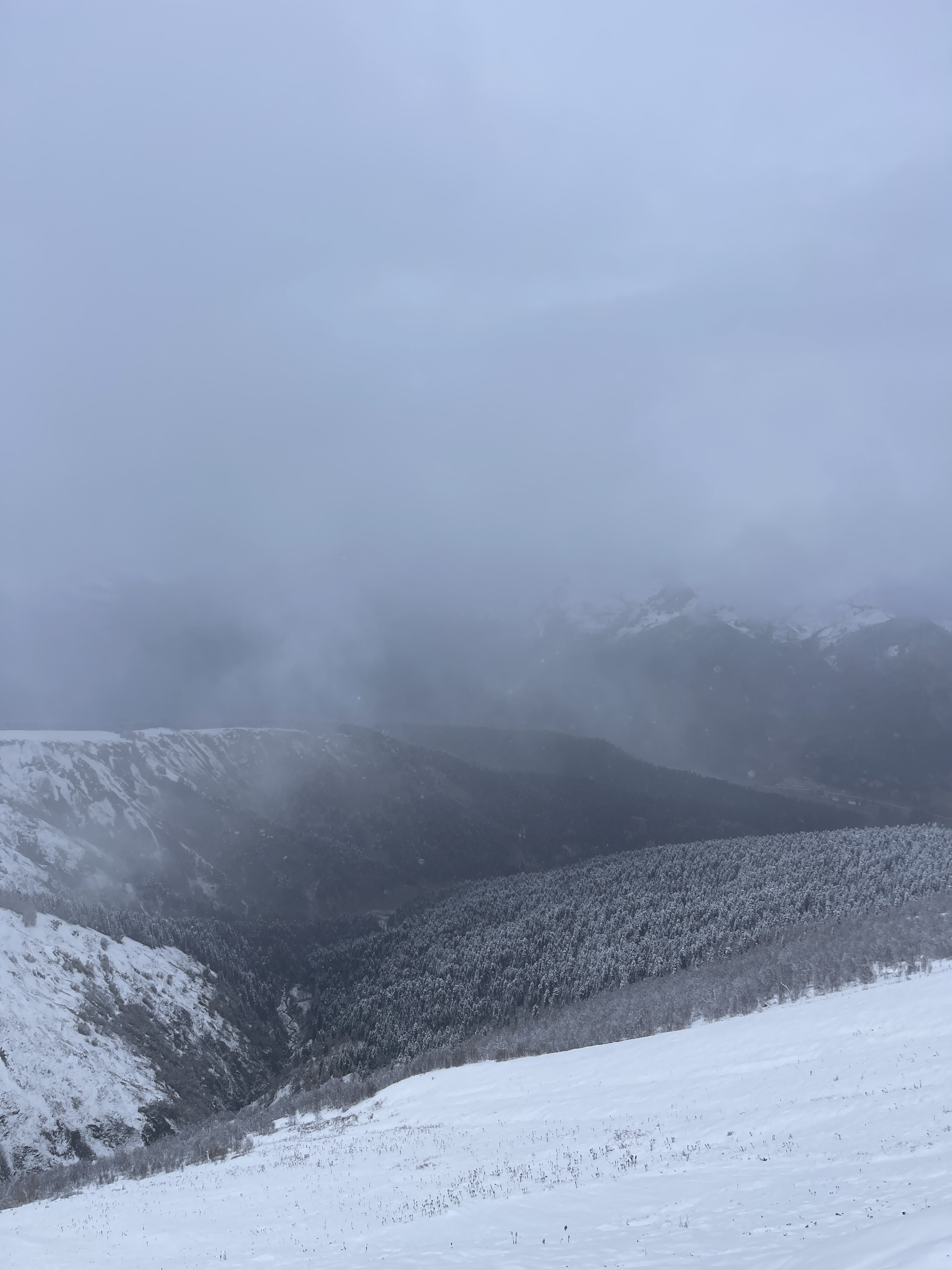 We came to Arkhyz for autumn to see - My, Arkhyz, Autumn, 2024, Snow, Weather, Nature, The photo, Longpost