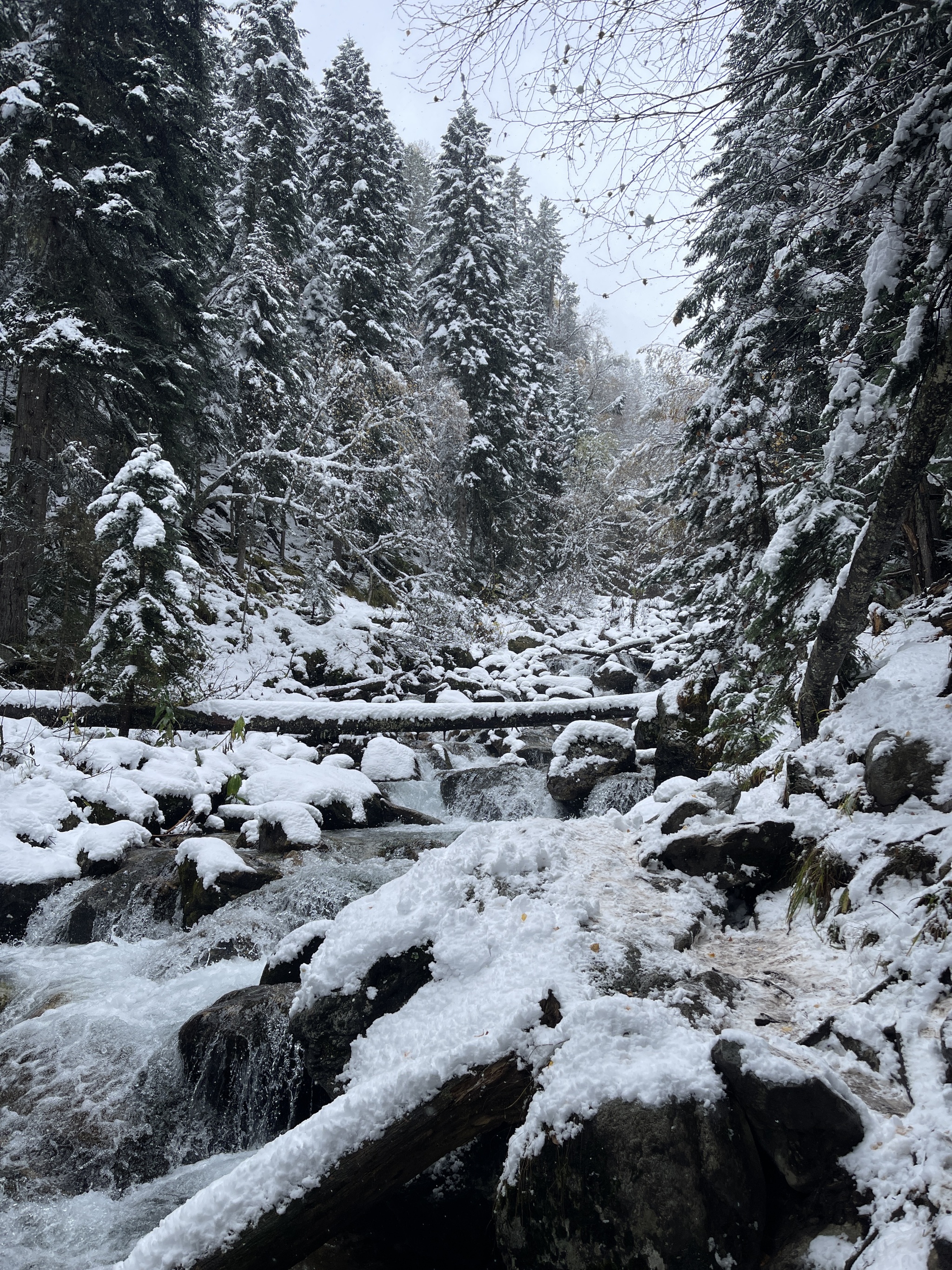 We came to Arkhyz for autumn to see - My, Arkhyz, Autumn, 2024, Snow, Weather, Nature, The photo, Longpost