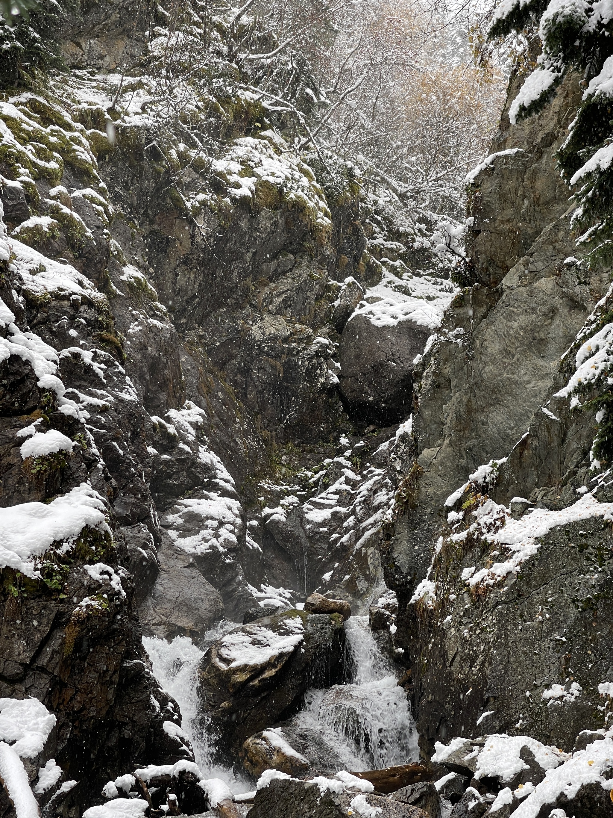 We came to Arkhyz for autumn to see - My, Arkhyz, Autumn, 2024, Snow, Weather, Nature, The photo, Longpost