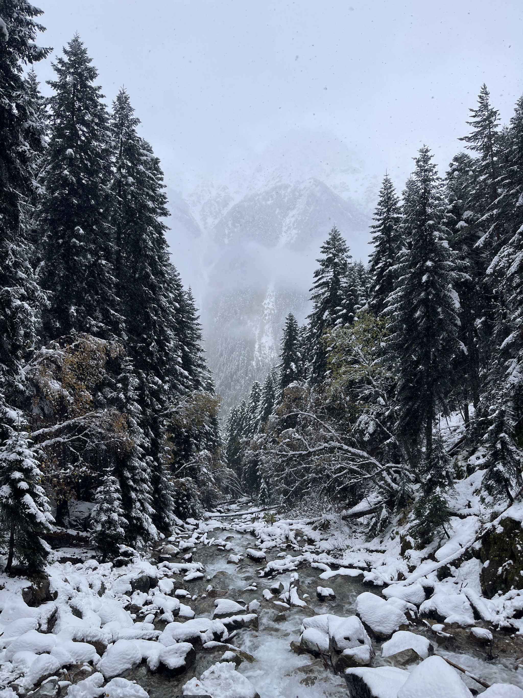 We came to Arkhyz for autumn to see - My, Arkhyz, Autumn, 2024, Snow, Weather, Nature, The photo, Longpost