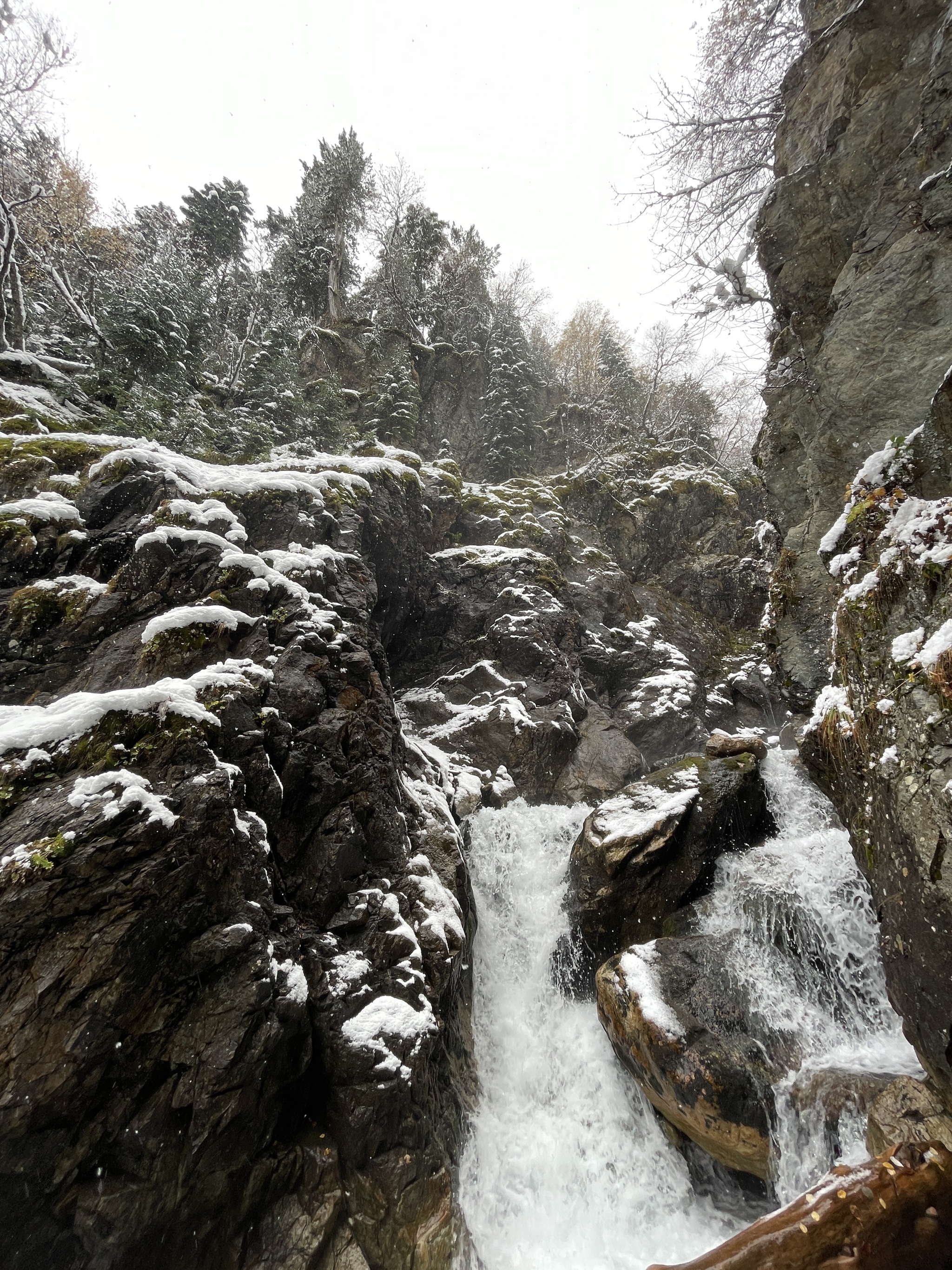 We came to Arkhyz for autumn to see - My, Arkhyz, Autumn, 2024, Snow, Weather, Nature, The photo, Longpost