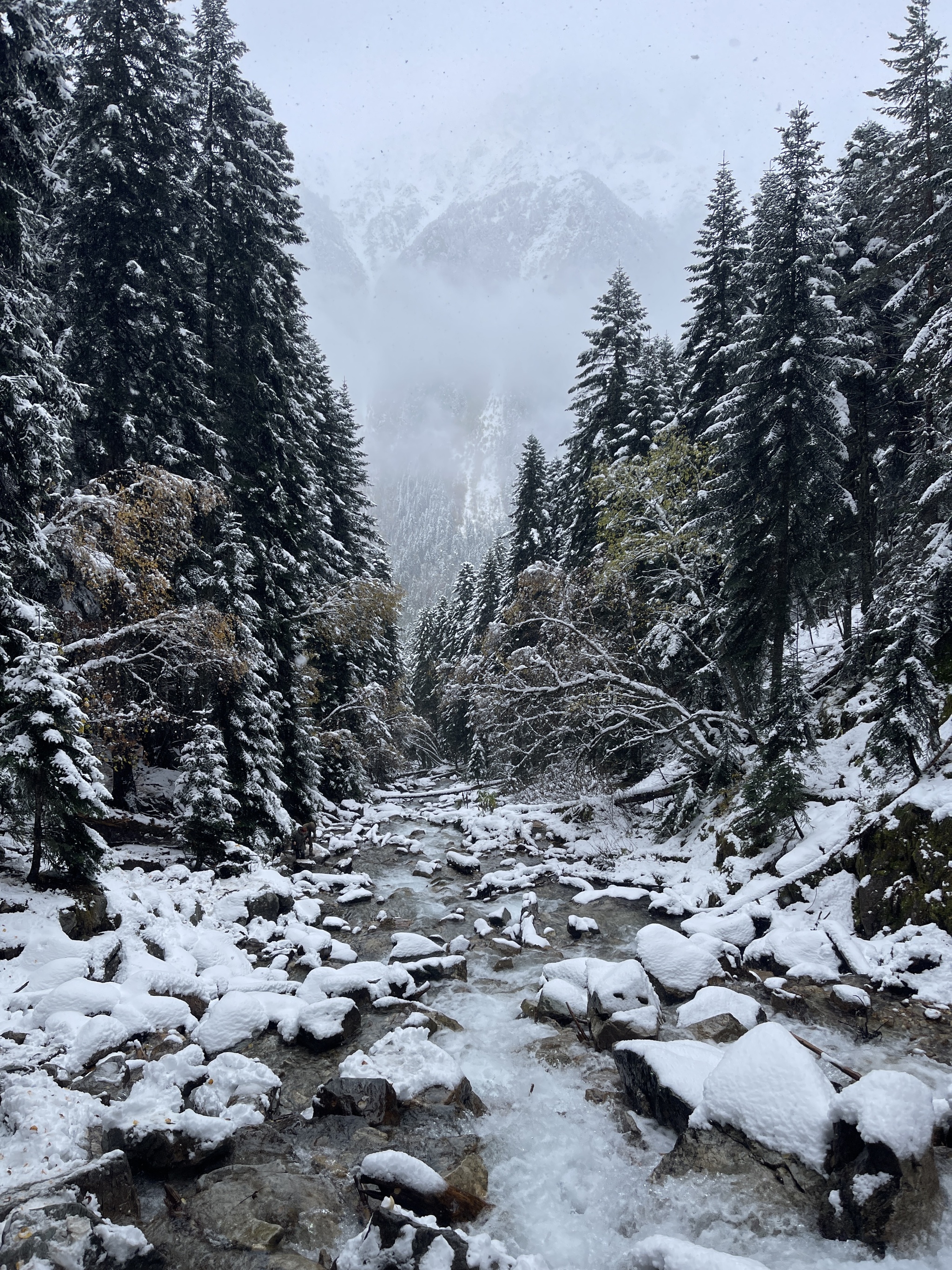 We came to Arkhyz for autumn to see - My, Arkhyz, Autumn, 2024, Snow, Weather, Nature, The photo, Longpost