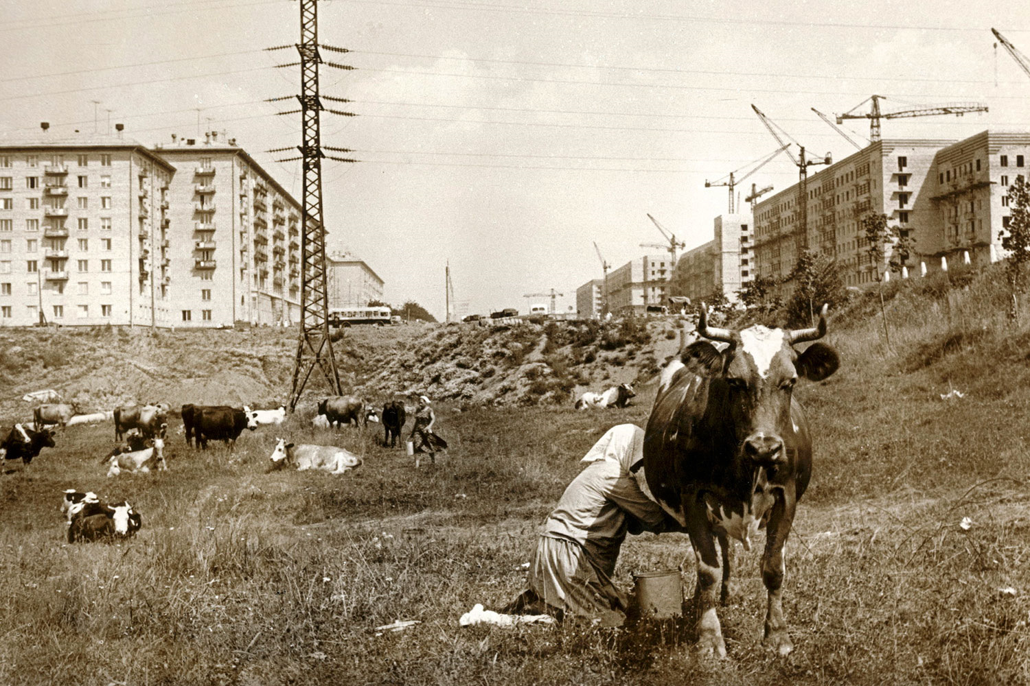 Rural Moscow. What was in place of the sleeping areas? - Moscow, Made in USSR, the USSR, Soviet, Past, Pastvu, Old photo, The photo, beauty, Black and white photo, Dormitory area, Village, Capital, Telegram (link), Longpost