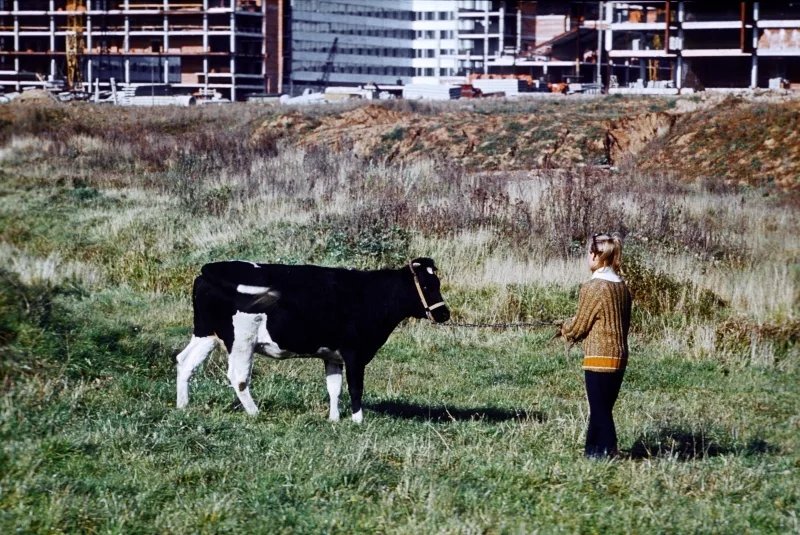 Rural Moscow. What was in place of the sleeping areas? - Moscow, Made in USSR, the USSR, Soviet, Past, Pastvu, Old photo, The photo, beauty, Black and white photo, Dormitory area, Village, Capital, Telegram (link), Longpost