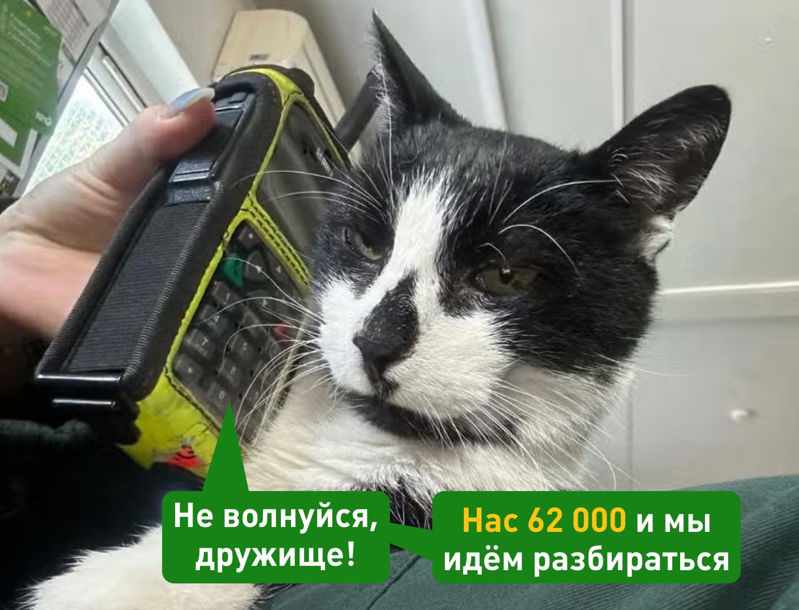 The Petition That Surprisingly Worked - Good news, cat, Петиция, Picture with text, Telegram (link)