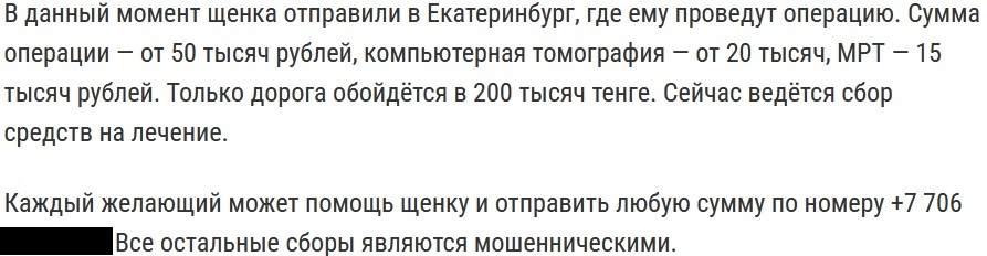 Nuance - VKontakte (link), Link, Negative, Money, Radical animal protection, Screenshot, Stray dogs