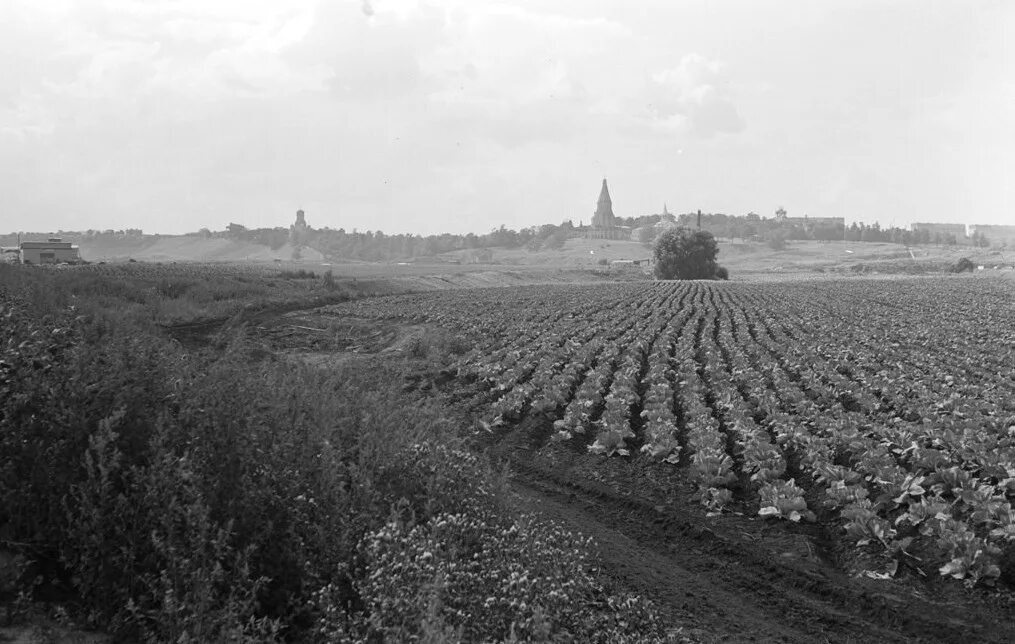 Rural Moscow. What was in place of the sleeping areas? - Moscow, Made in USSR, the USSR, Soviet, Past, Pastvu, Old photo, The photo, beauty, Black and white photo, Dormitory area, Village, Capital, Telegram (link), Longpost