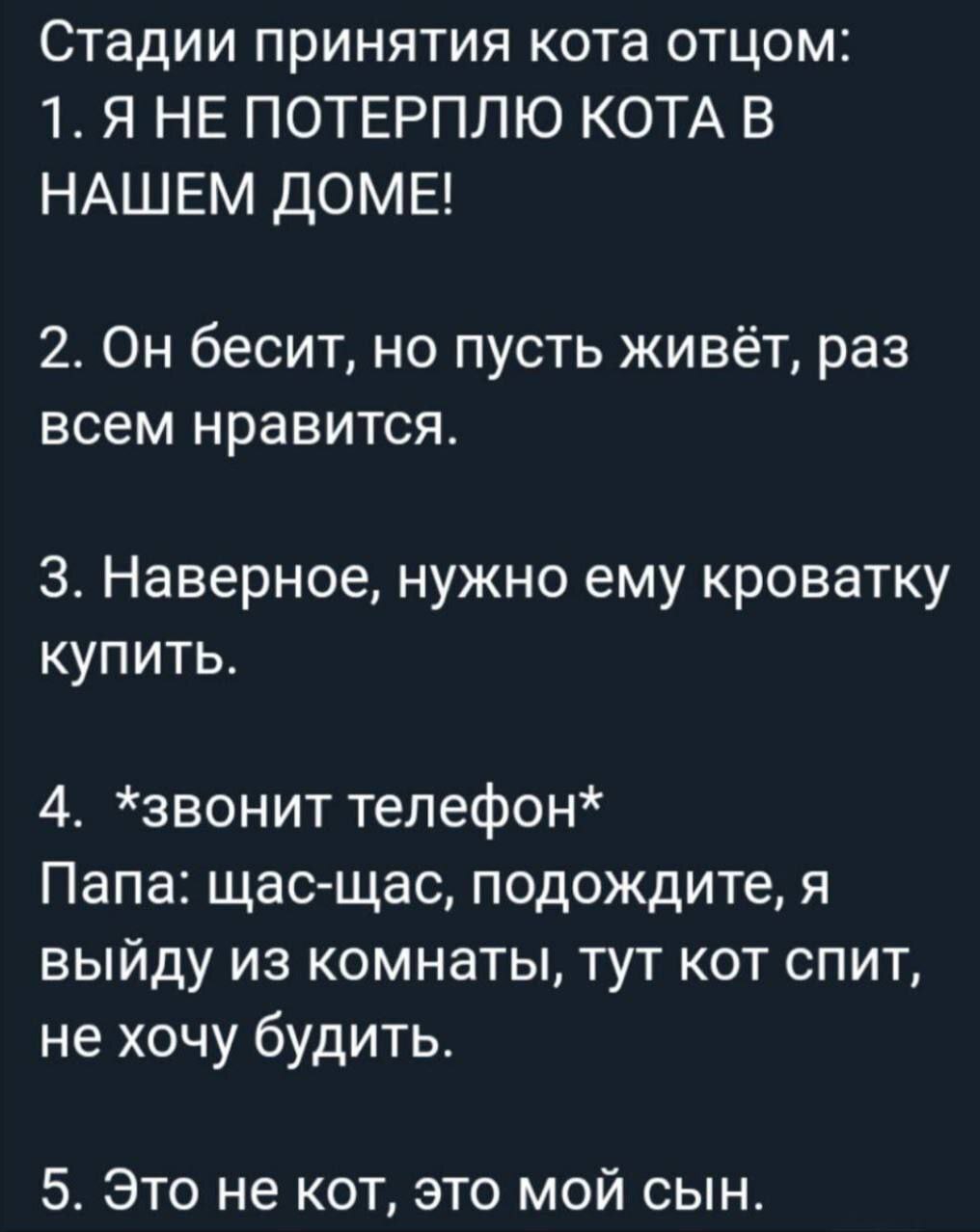 Ответ на пост «Самое милое на сегодня: Батины заметки о собаке» - Собака, Батя, Милота, Юмор, Скриншот, Telegram (ссылка), Кот, Семья, Ответ на пост