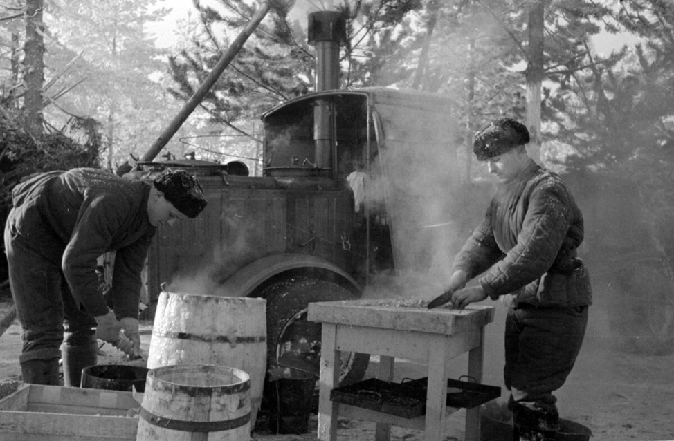 Field kitchen of the Red Army and Wehrmacht. What did the soldiers of both armies eat? - My, История России, The Second World War, The Great Patriotic War, History of the Second World War, Military history, The soldiers, Kitchen, Field kitchen, Historical photo, Longpost