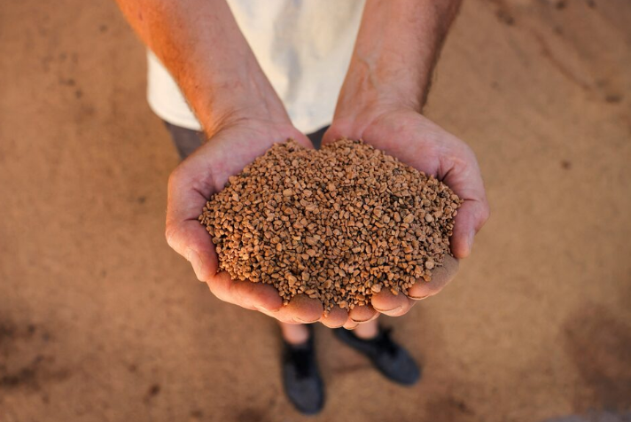 Spain is going to heat itself with olive pits - Ecology, Scientists, The science, Research, Longpost