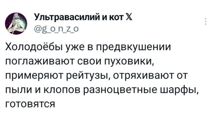 Дыа!:) - Скриншот, Twitter, Юмор, Мат, Холод