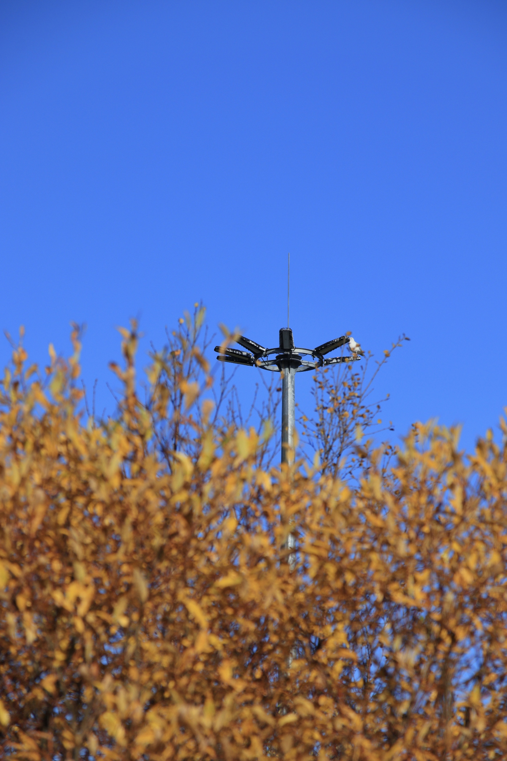 Autumn in a northern town - My, Autumn, Hajiyevo, October, Longpost