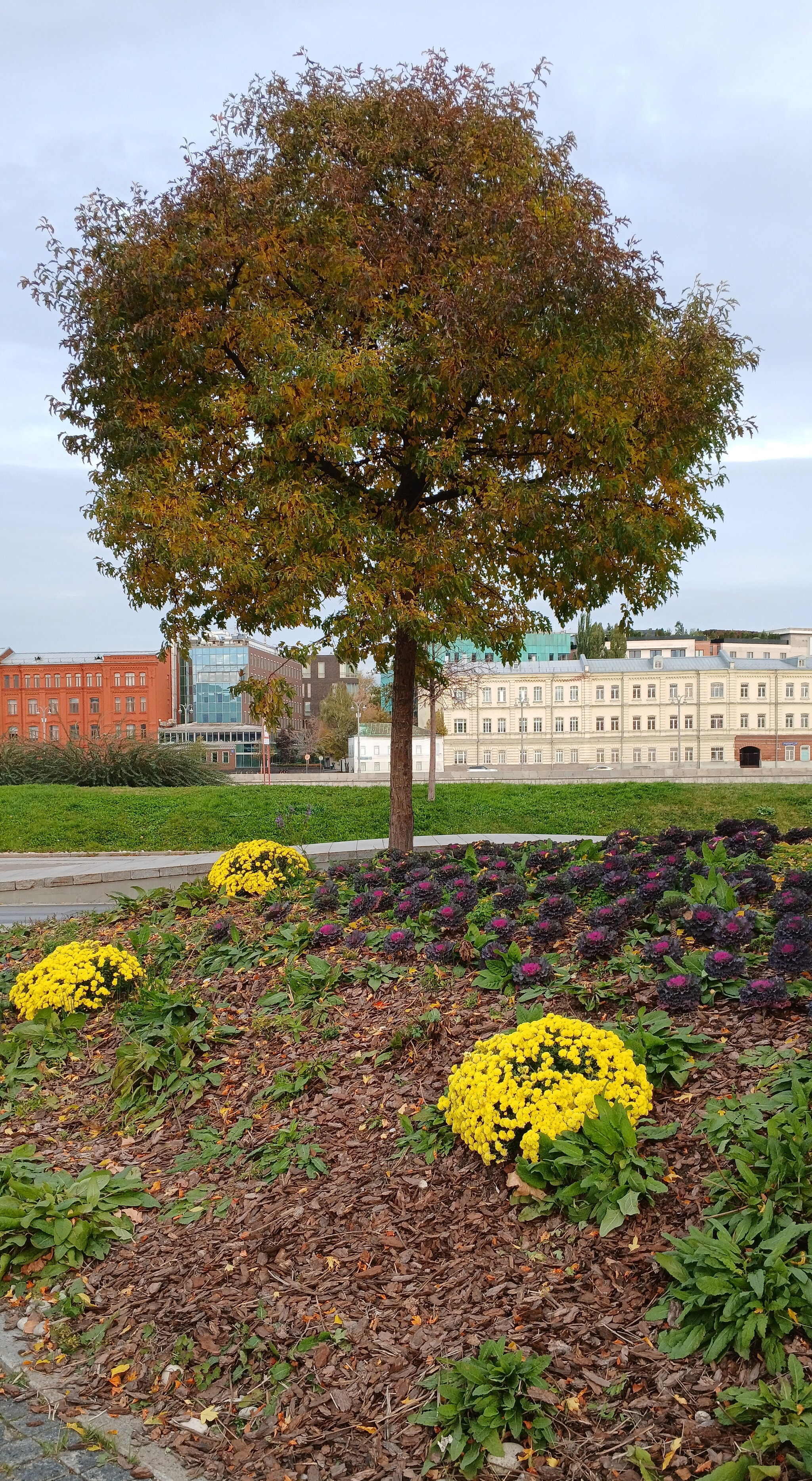 Autumn - My, Moscow, Street photography, Autumn, Beginning photographer, Longpost