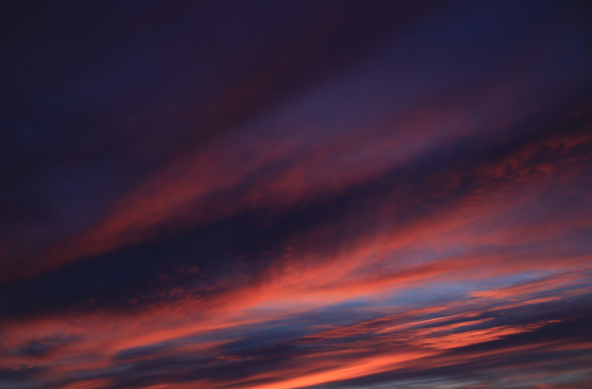 Pink evening - My, Pink, Evening, October, View from the window, Autumn, Sunset, Hajiyevo, Longpost, Mobile photography