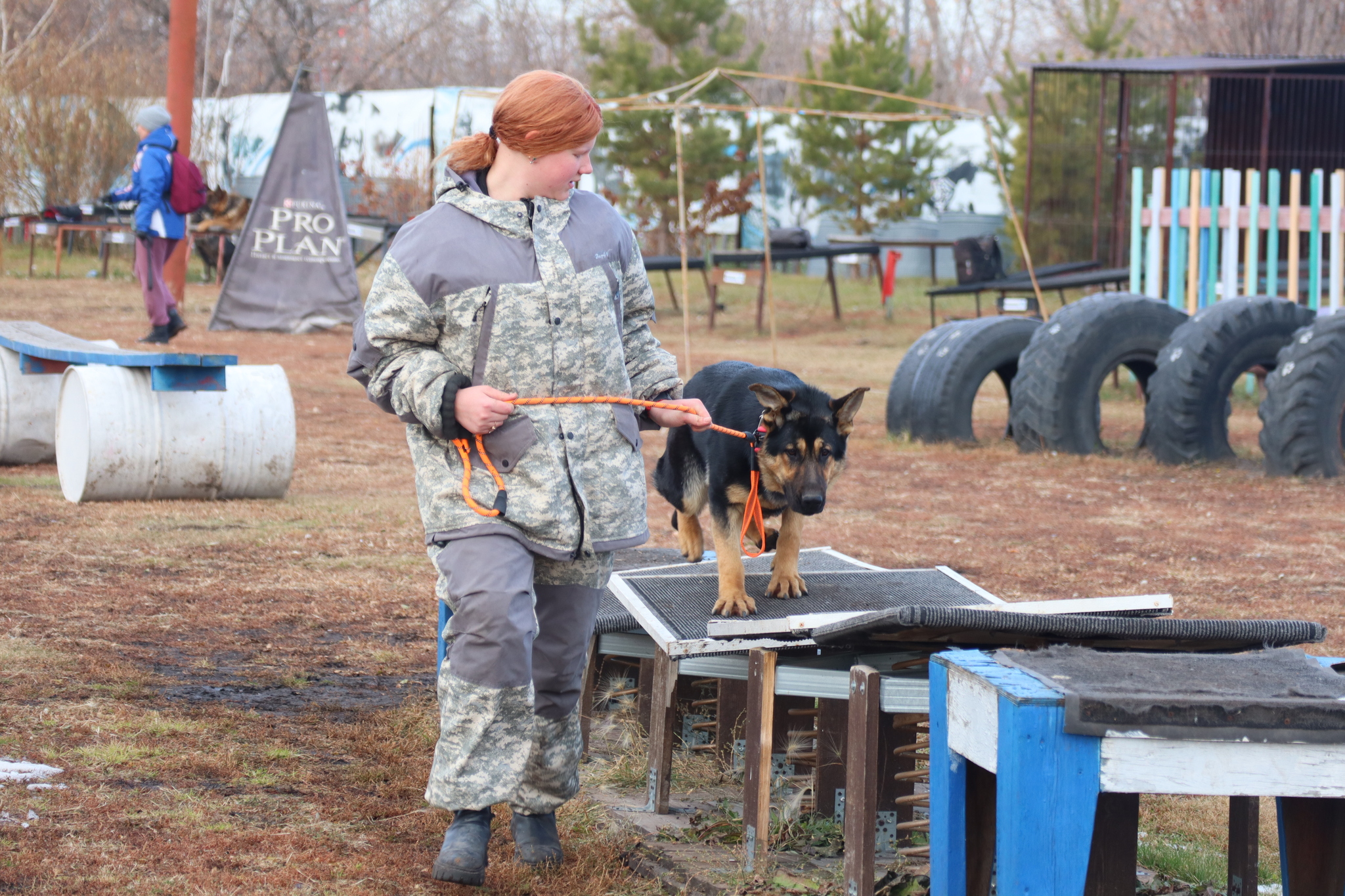 Dog training in Omsk - OCSSSS 19 - 10 - 2024 - Dog, Dog lovers, Puppies, Omsk, Training, Г“Г±Г±Г±, Friend, Care, Longpost