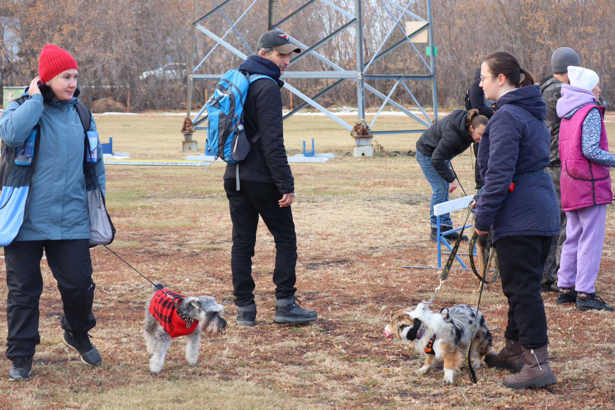 Dog training in Omsk - OCSSSS 19 - 10 - 2024 - Dog, Dog lovers, Puppies, Omsk, Training, Г“Г±Г±Г±, Friend, Care, Longpost