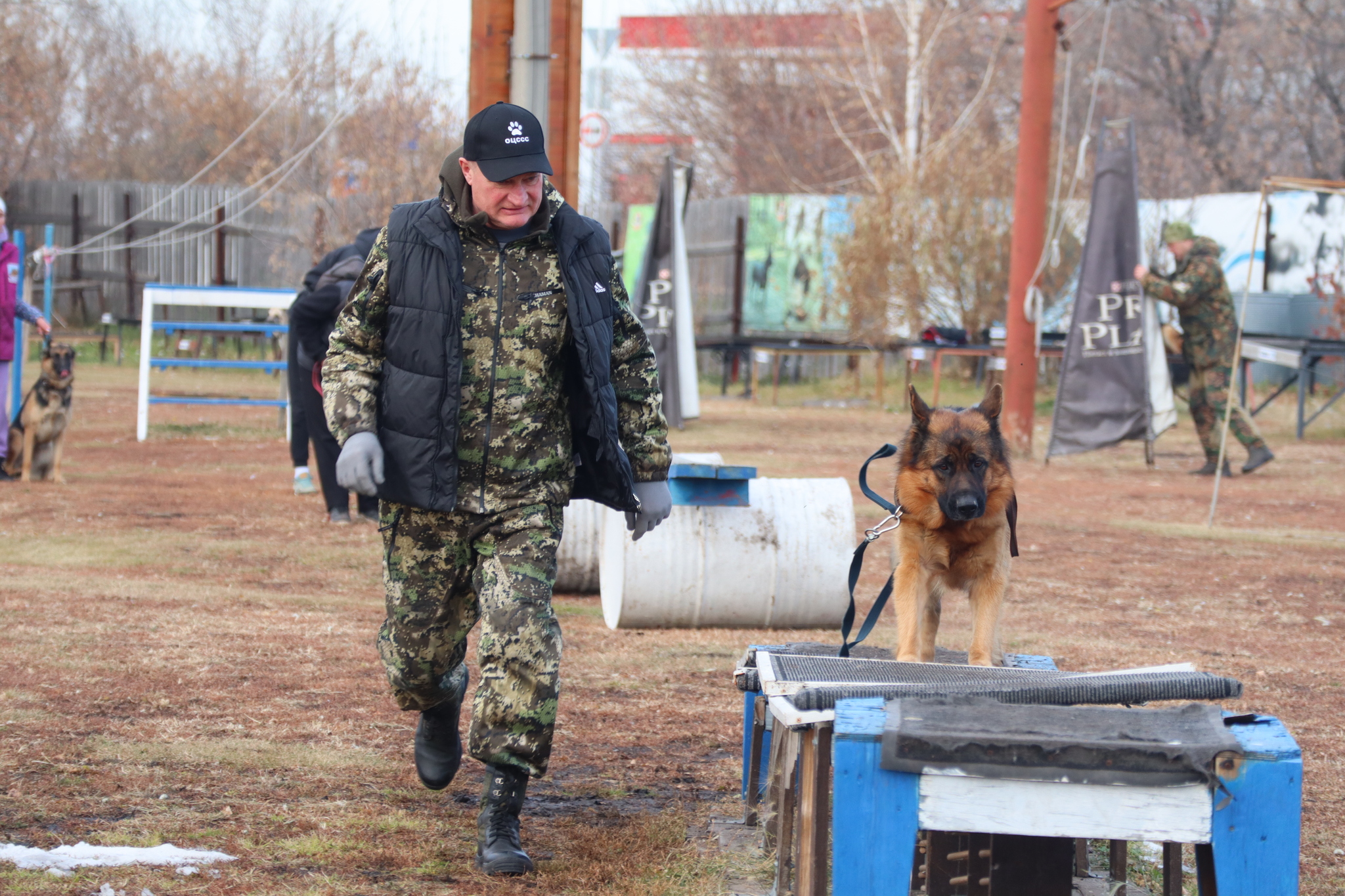 Dog training in Omsk - OCSSSS 19 - 10 - 2024 - Dog, Dog lovers, Puppies, Omsk, Training, Г“Г±Г±Г±, Friend, Care, Longpost