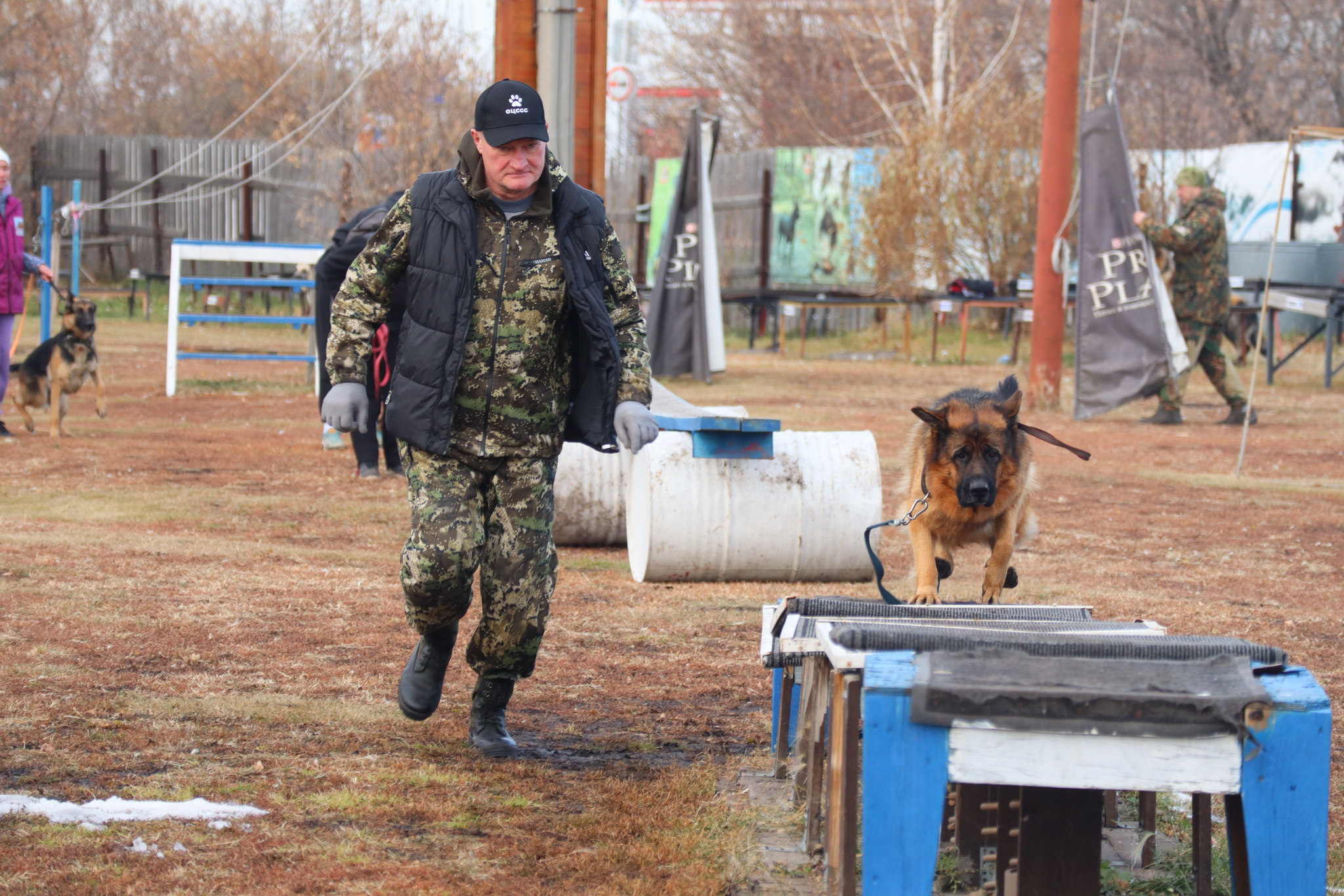 Dog training in Omsk - OCSSSS 19 - 10 - 2024 - Dog, Dog lovers, Puppies, Omsk, Training, Г“Г±Г±Г±, Friend, Care, Longpost