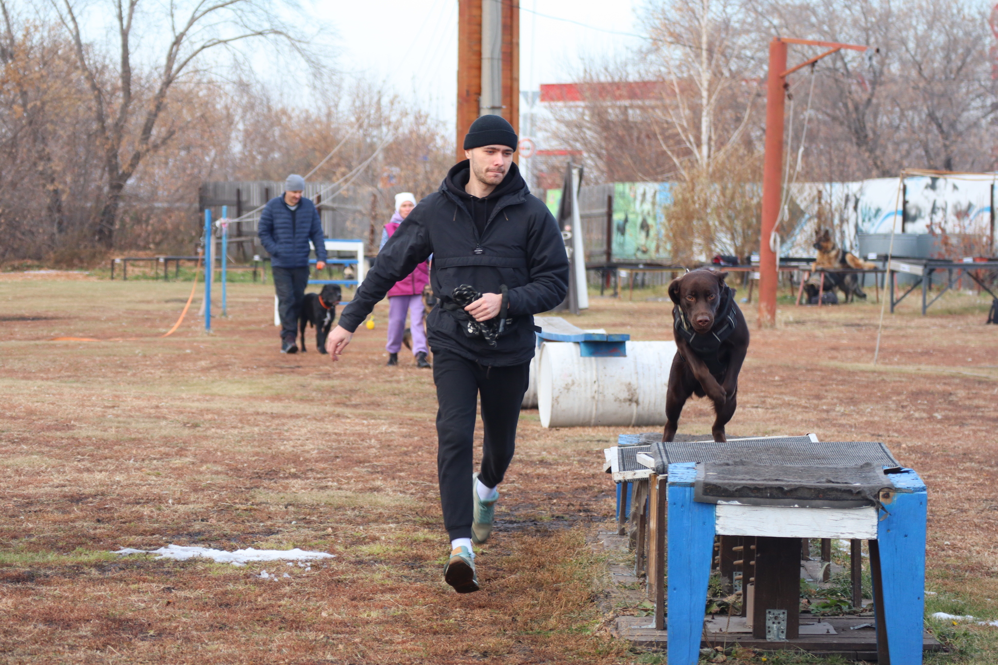 Dog training in Omsk - OCSSSS 19 - 10 - 2024 - Dog, Dog lovers, Puppies, Omsk, Training, Г“Г±Г±Г±, Friend, Care, Longpost